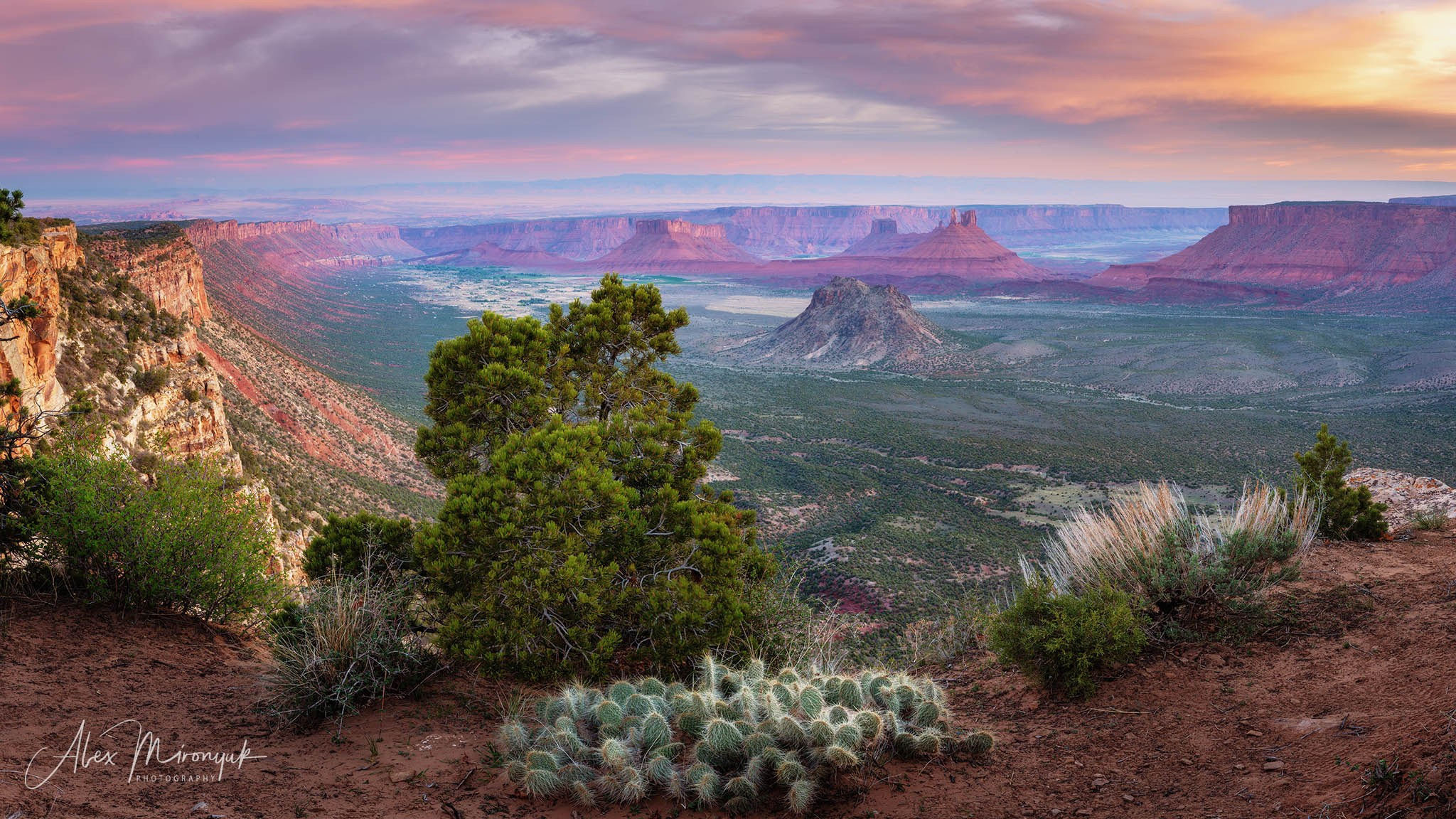 New Year In Utah. Pet, Senior, Landscape, portrait studio, photographer in Miami and Sou