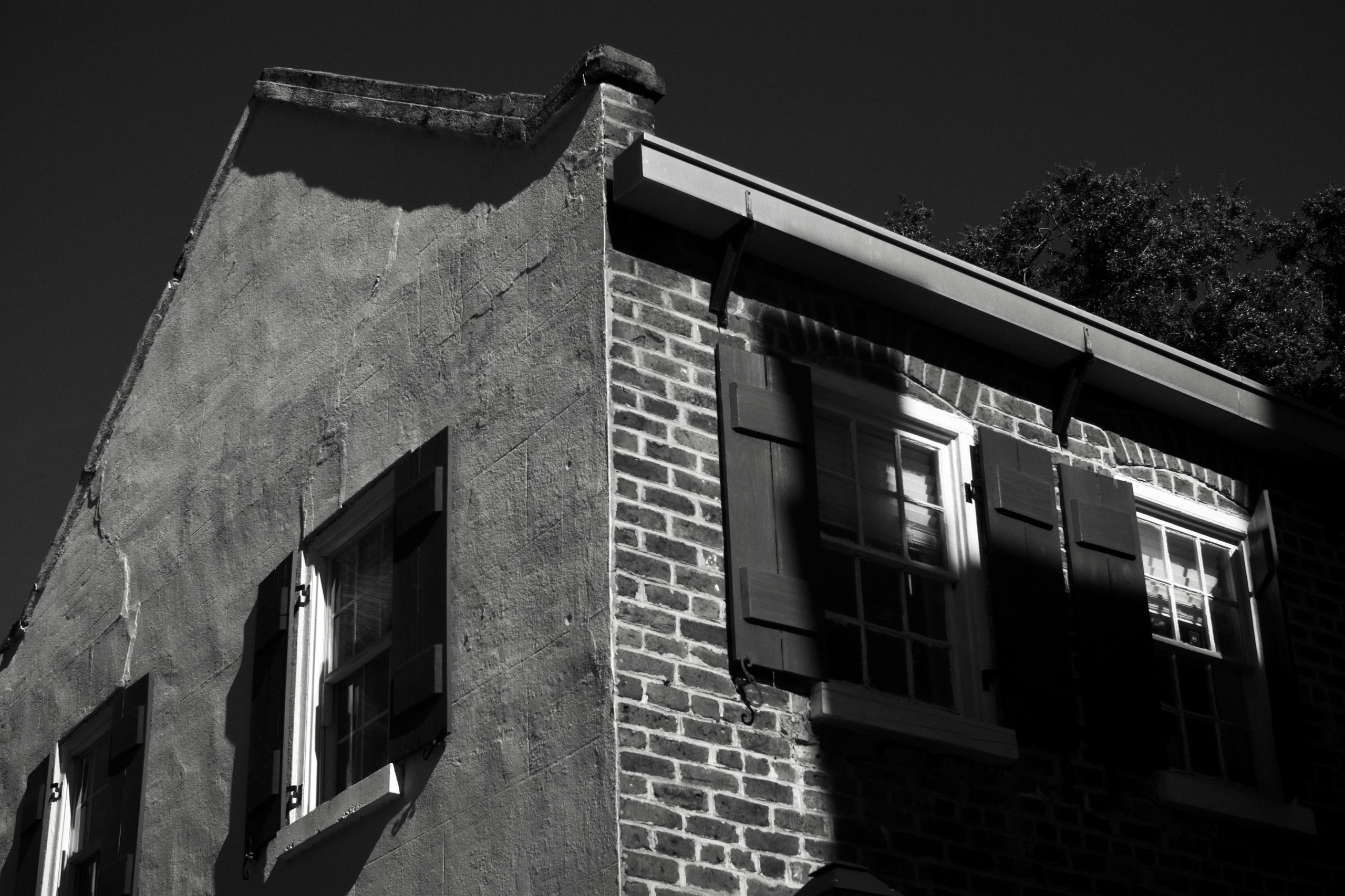 Monochrome. Sonny Photos