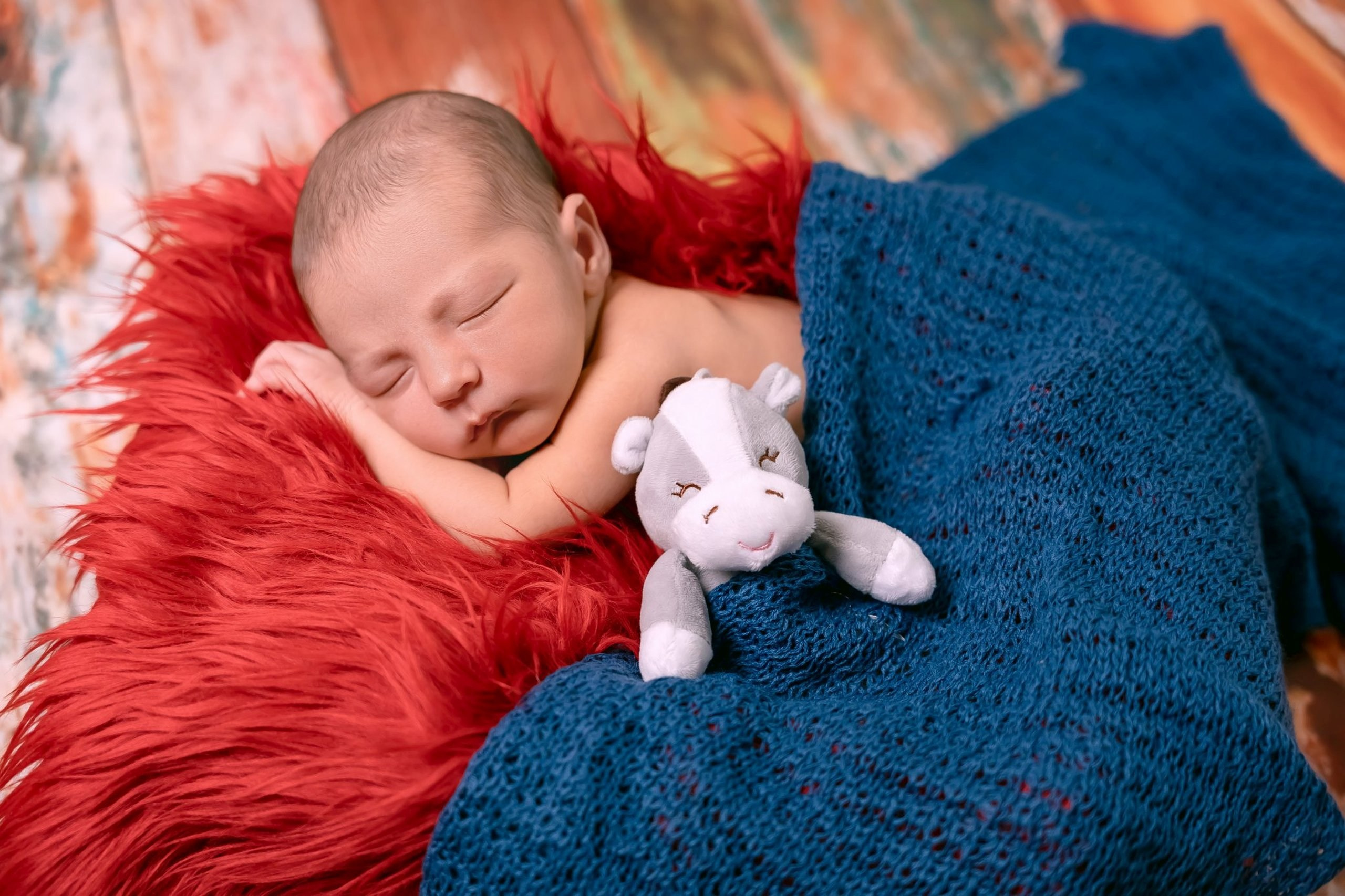 Gael — 30/12/2023. Luiz Medeiros Produções