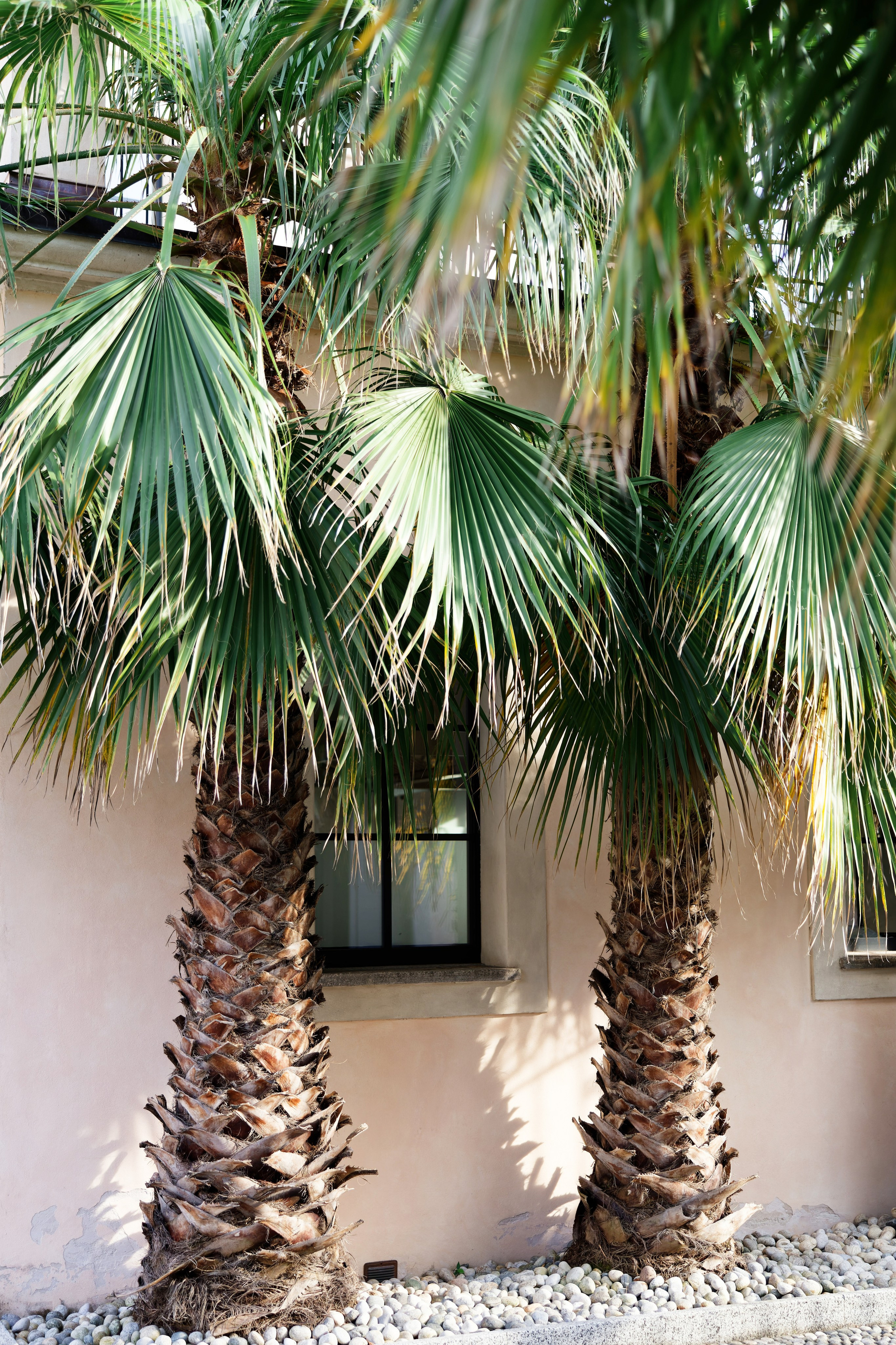 Wedding at Villa Carminati Resta on Lake Como