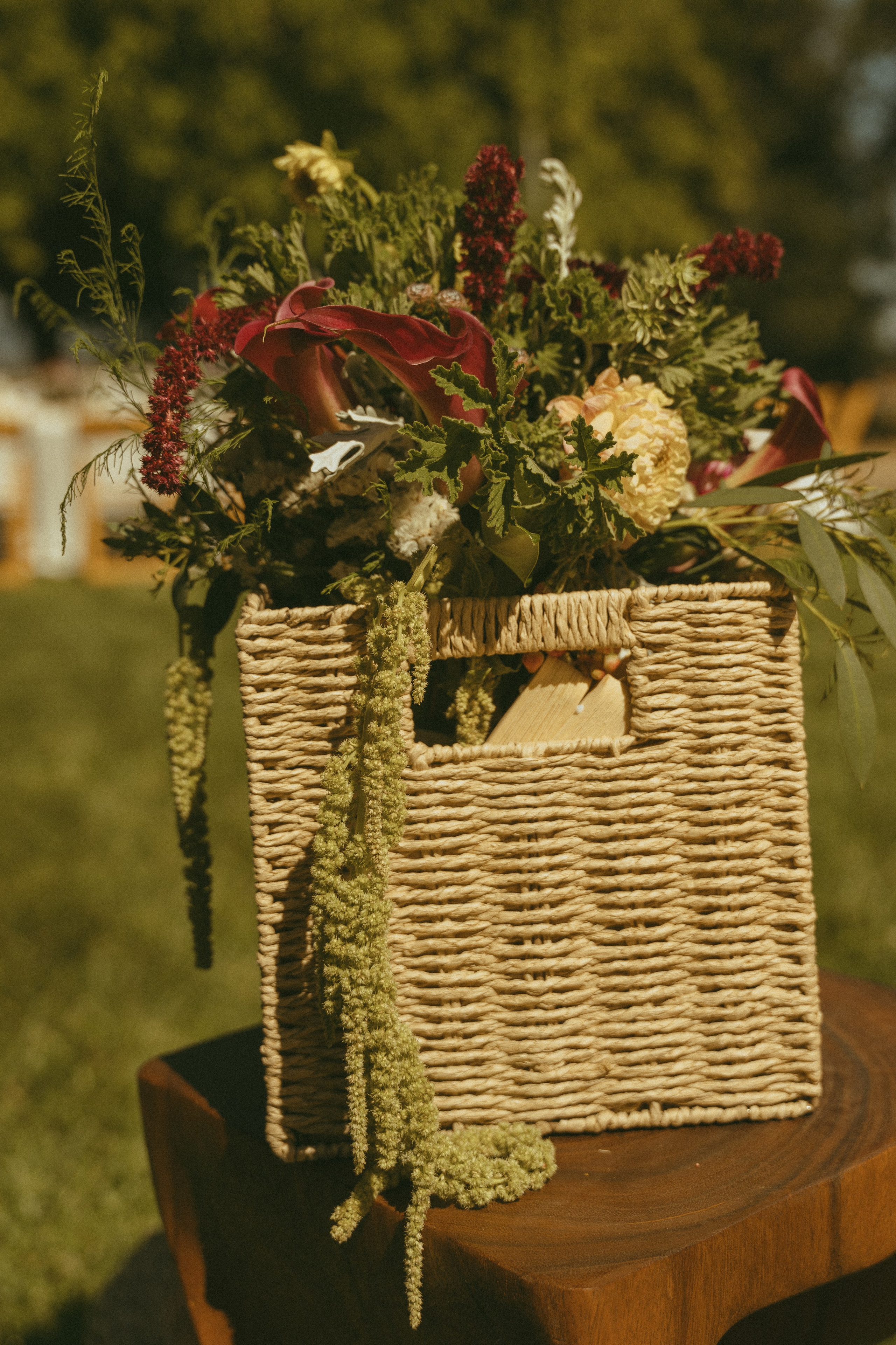 Wedding | San Francisco. San Francisco Wedding & Elopement Photographeк | photography_of.nadia