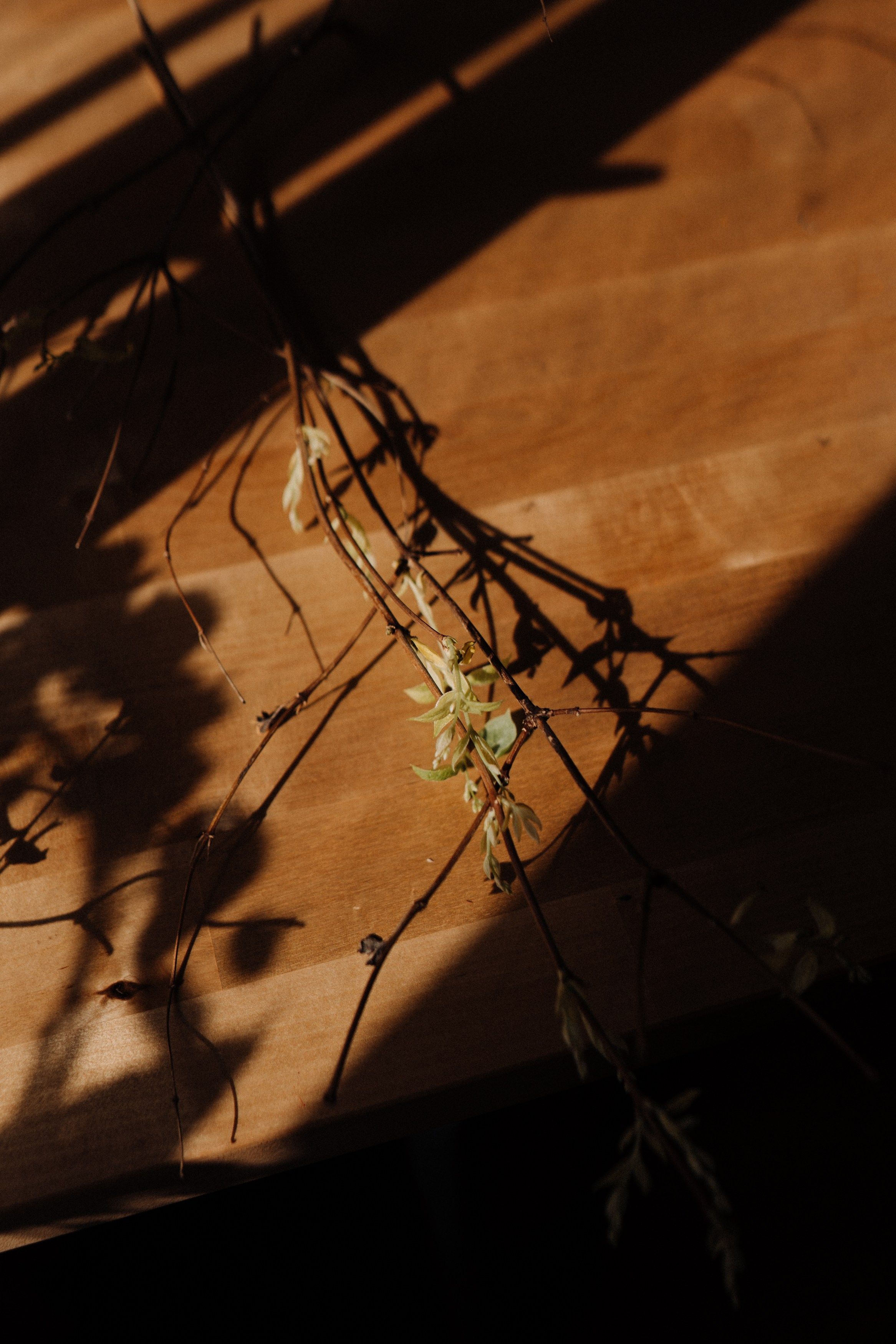 Elena. Фотограф в Праге Анна Лебедева