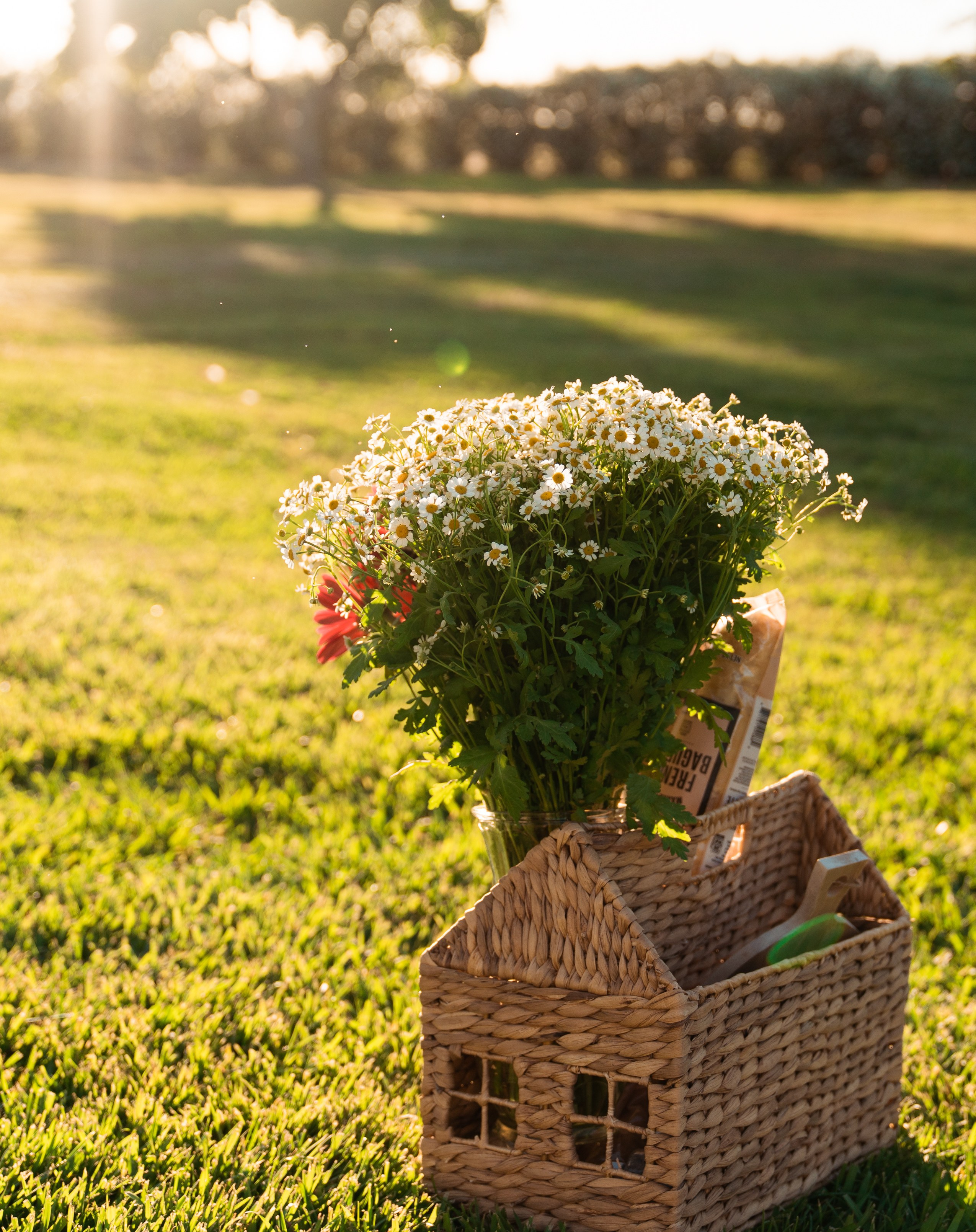 Yulya, Robert&Gordey. Wedding & elopement photographer Viktoriya Kravtsov. Las Vegas