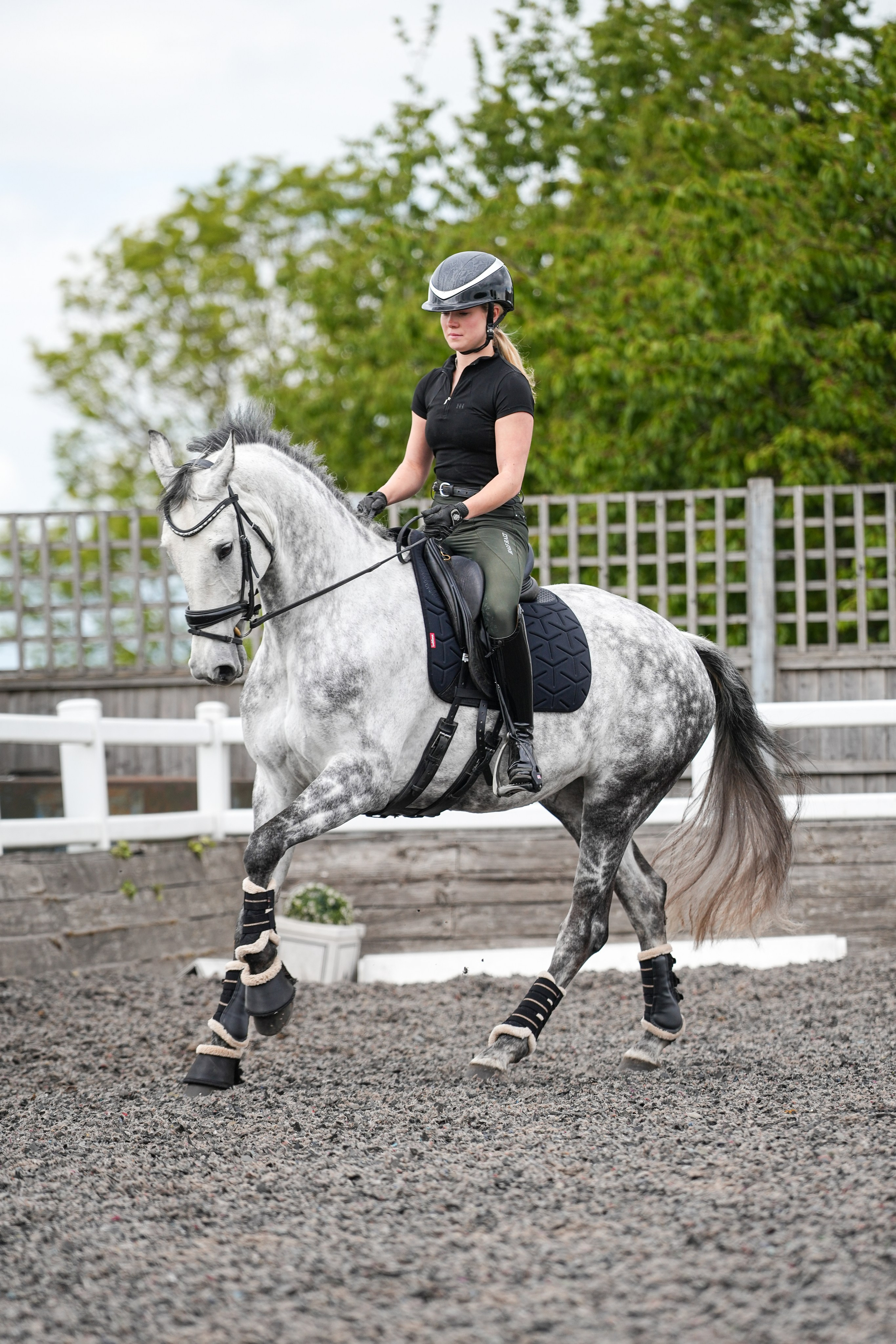 Equine Photography Portfolio | Leicestershire Horse Portrait Photographer. Leicestershire Equine Photography by El | Authentic Equine Portraits & Events