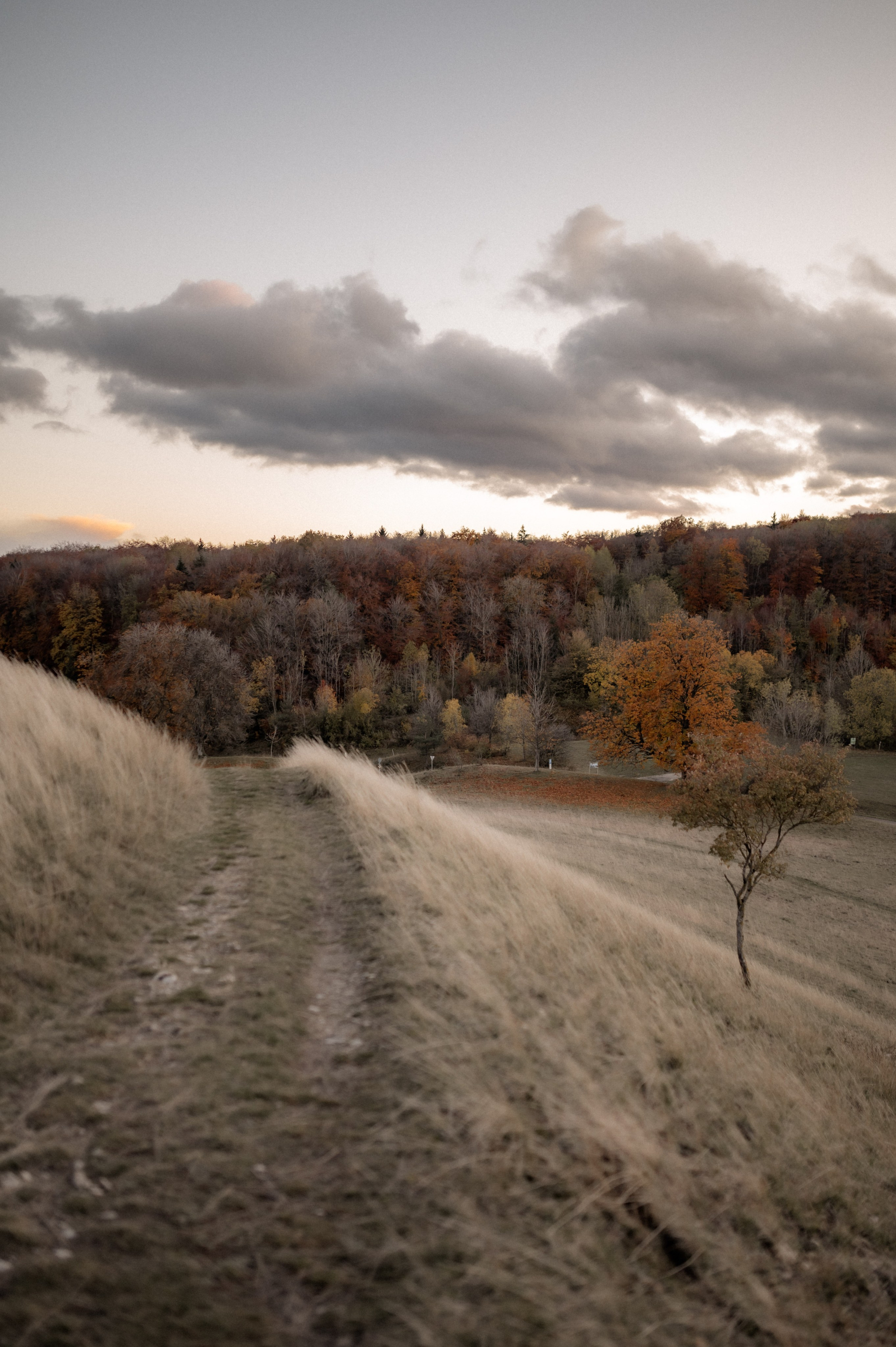 Wenn der Wind flüstert | Paarshooting am Gelben Berg. Photographer in Nuremberg Irina Mehnert from Ansbach