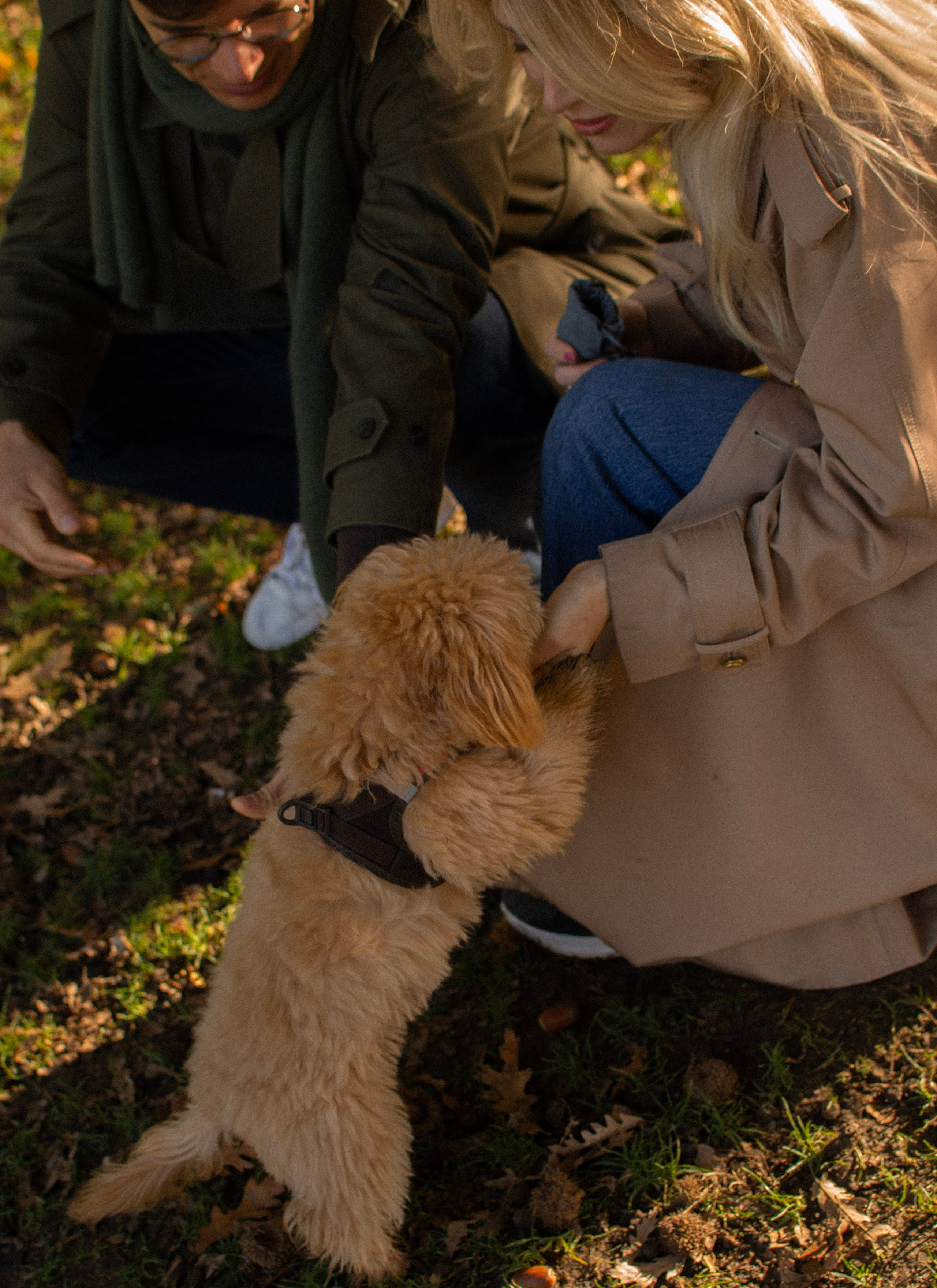 Barney, Nastya et Kolya. Photographe animalier à Paris Anna Pereira