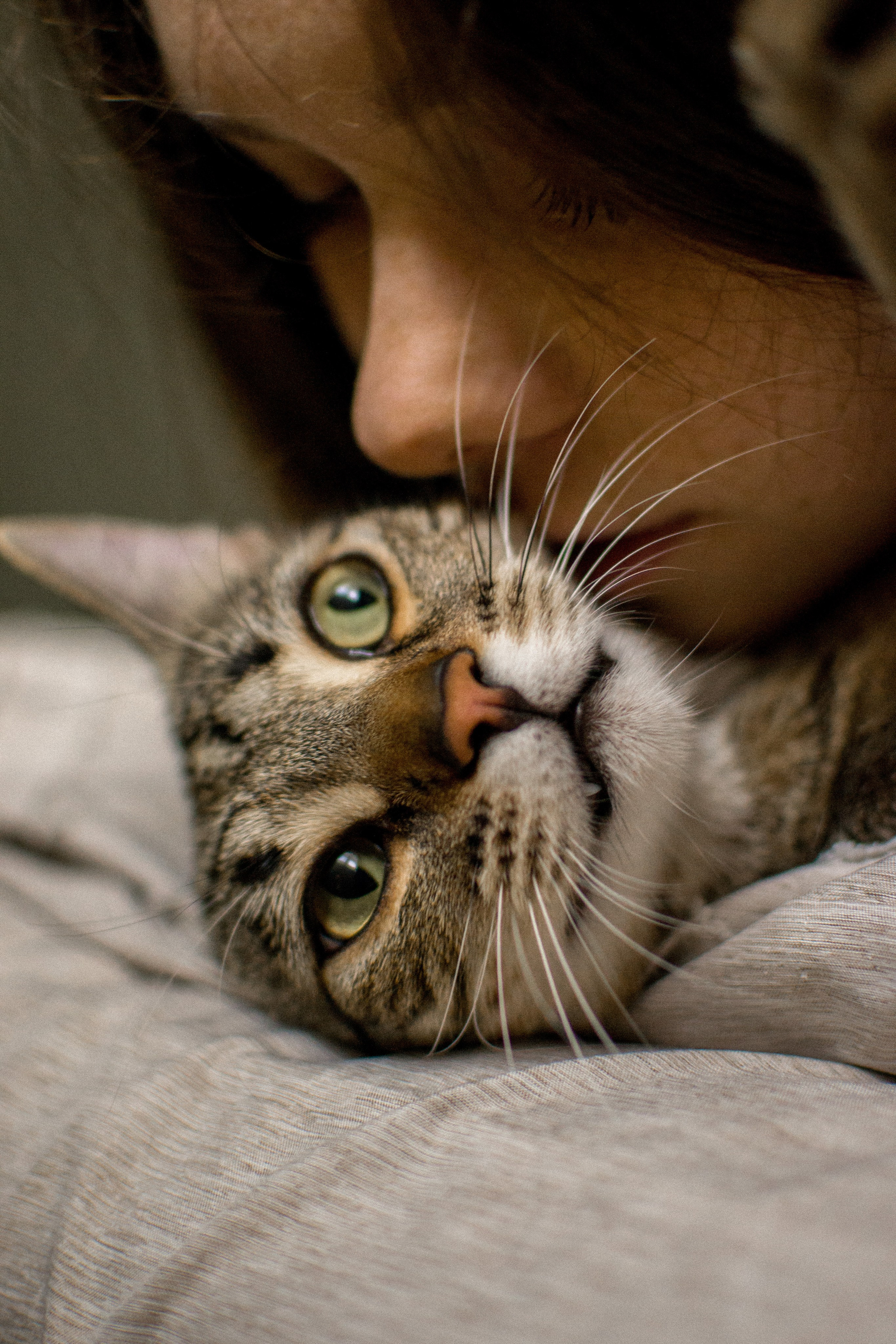 Victoria et Murka. Photographe animalier à Paris Anna Pereira