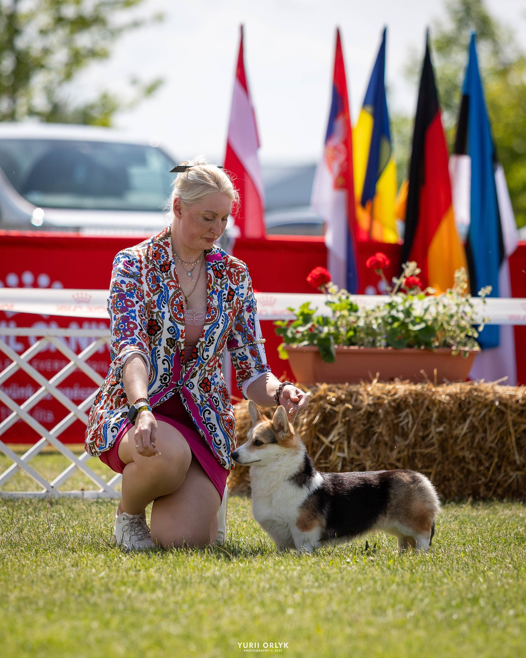 Dog Shows. Yurii Orlyk Photography