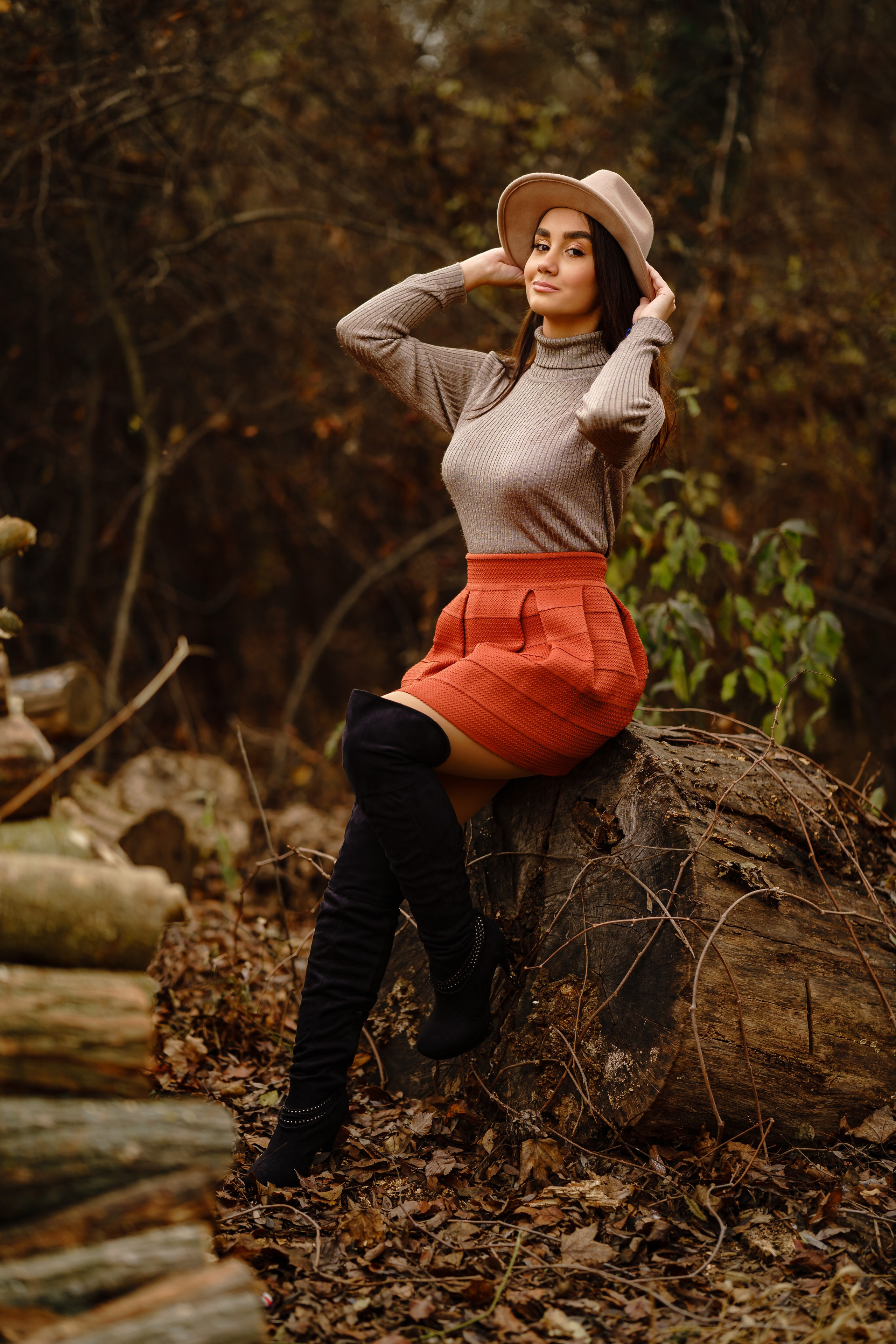 Padurea Ceala Gratuit. Trendy Albums