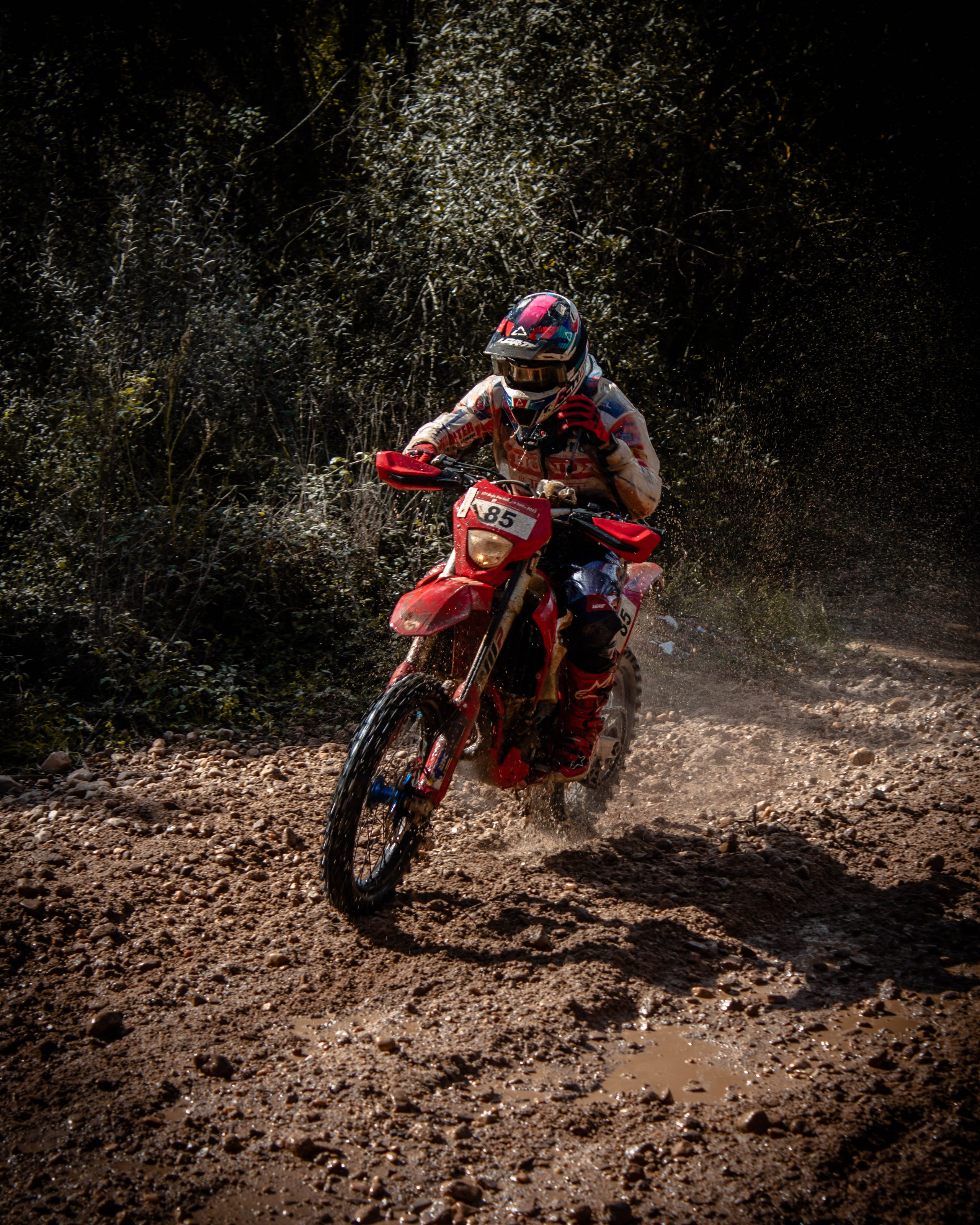 #85 Nélson Martins