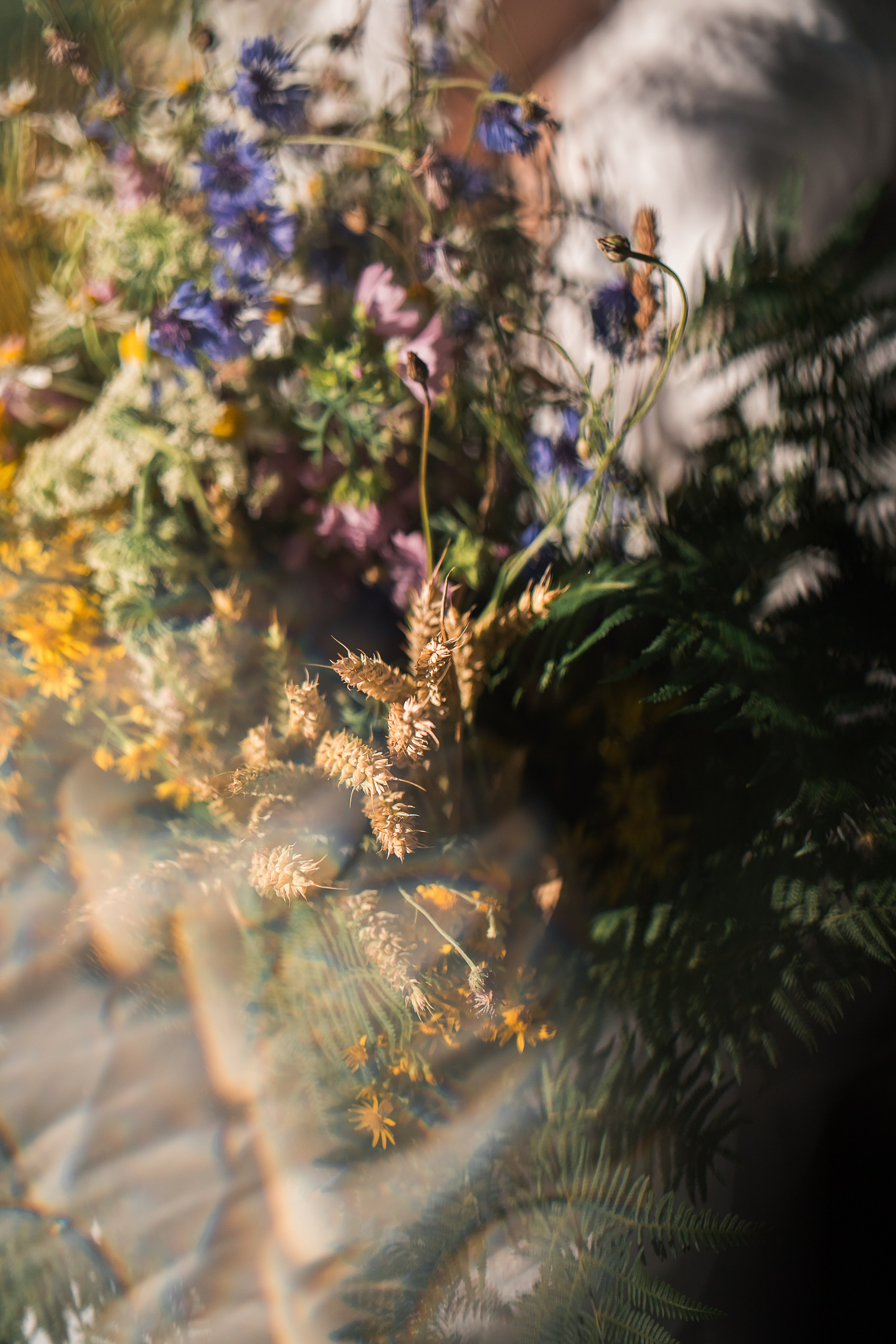 Ivana Kupala. Familien, Portrait und Konzeptualfotografie in Genf, Schweiz