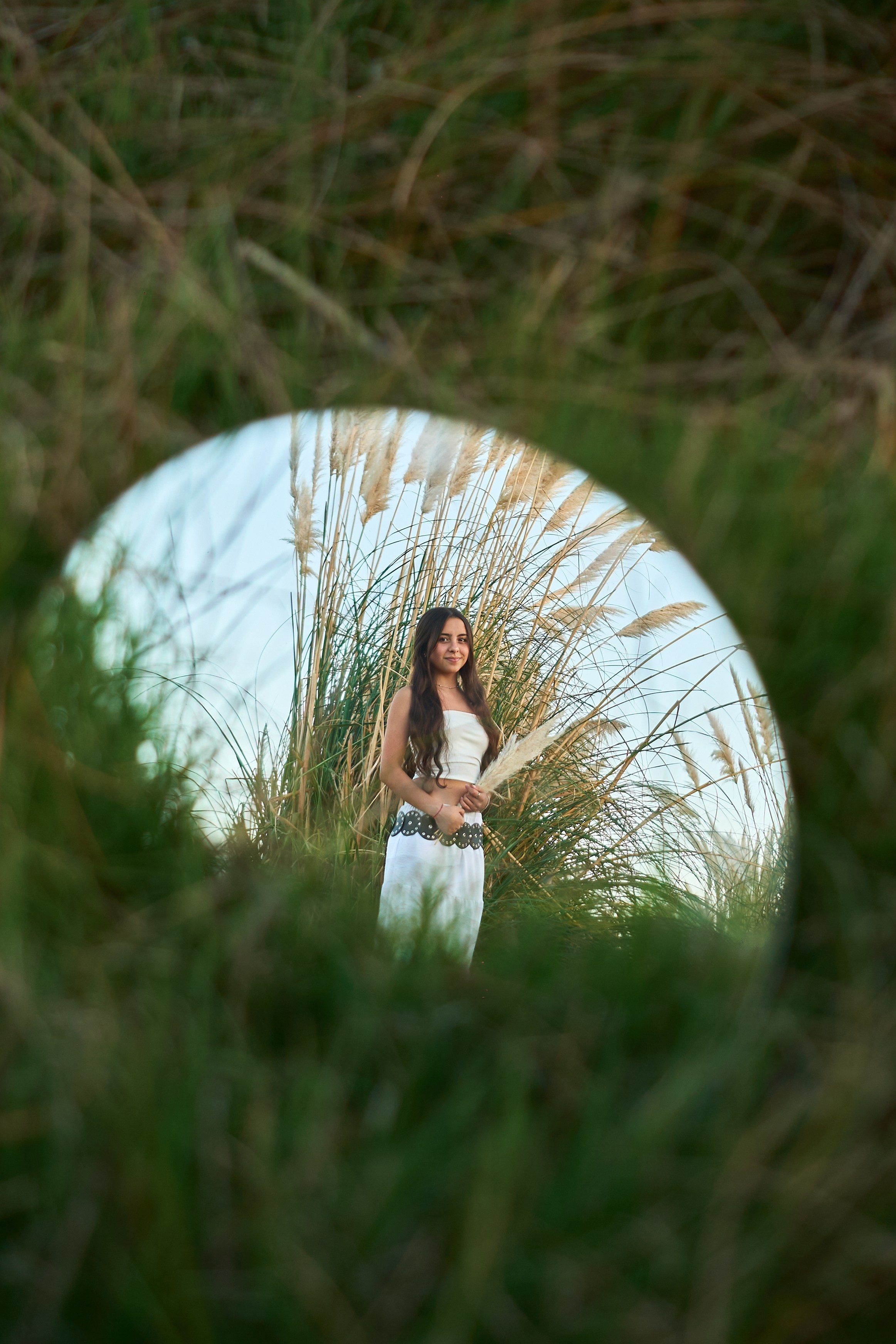 Book XV. Luis XV
