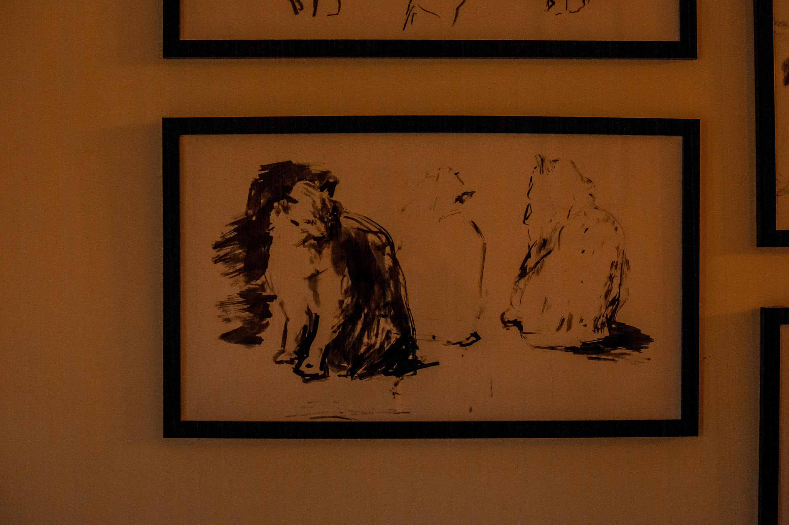 Turkey, Rize. Art Photographer