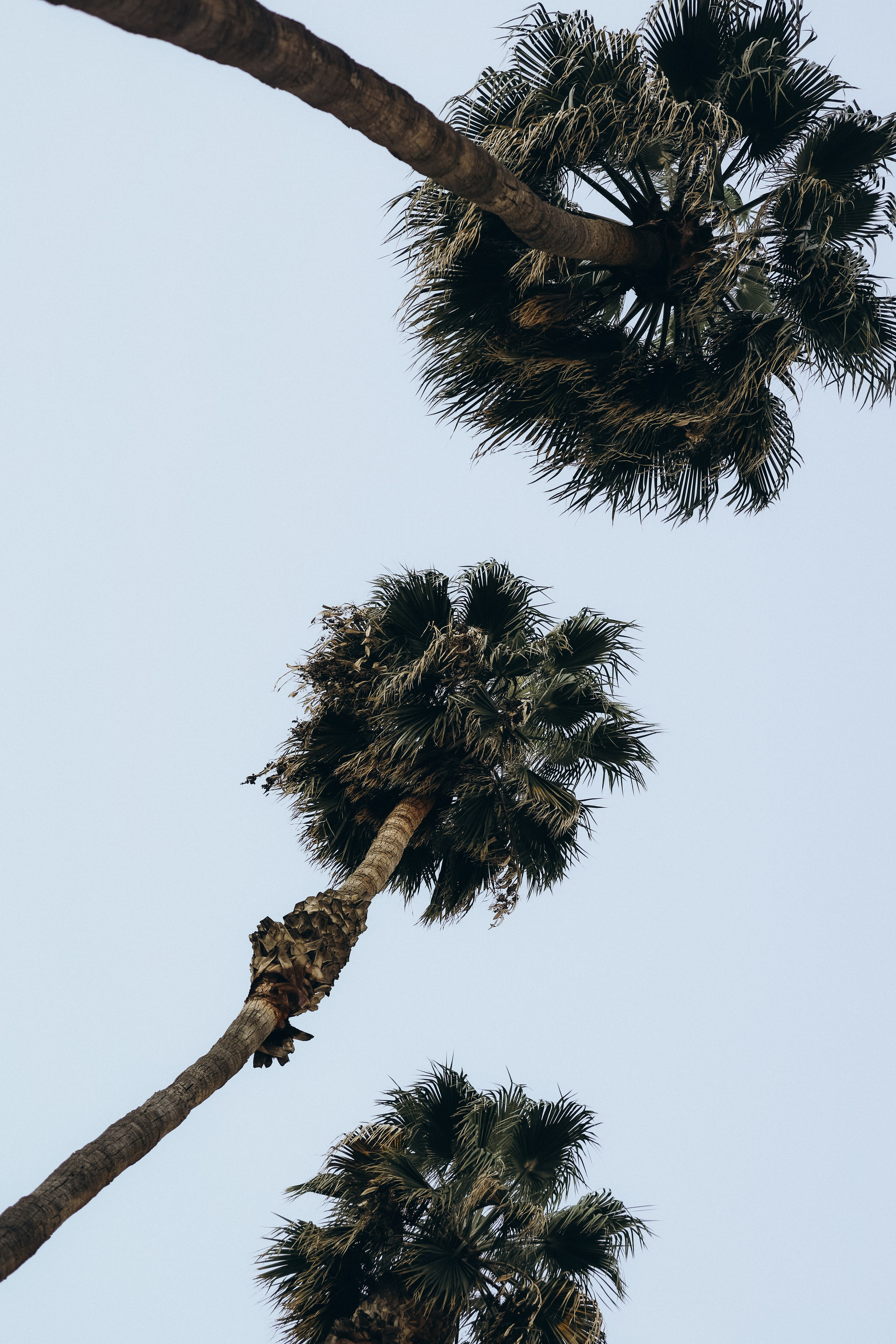 LOS ANGELES STREET. TETIANA UDOVYCHENKO PORTRAIT PHOTOGRAPHER