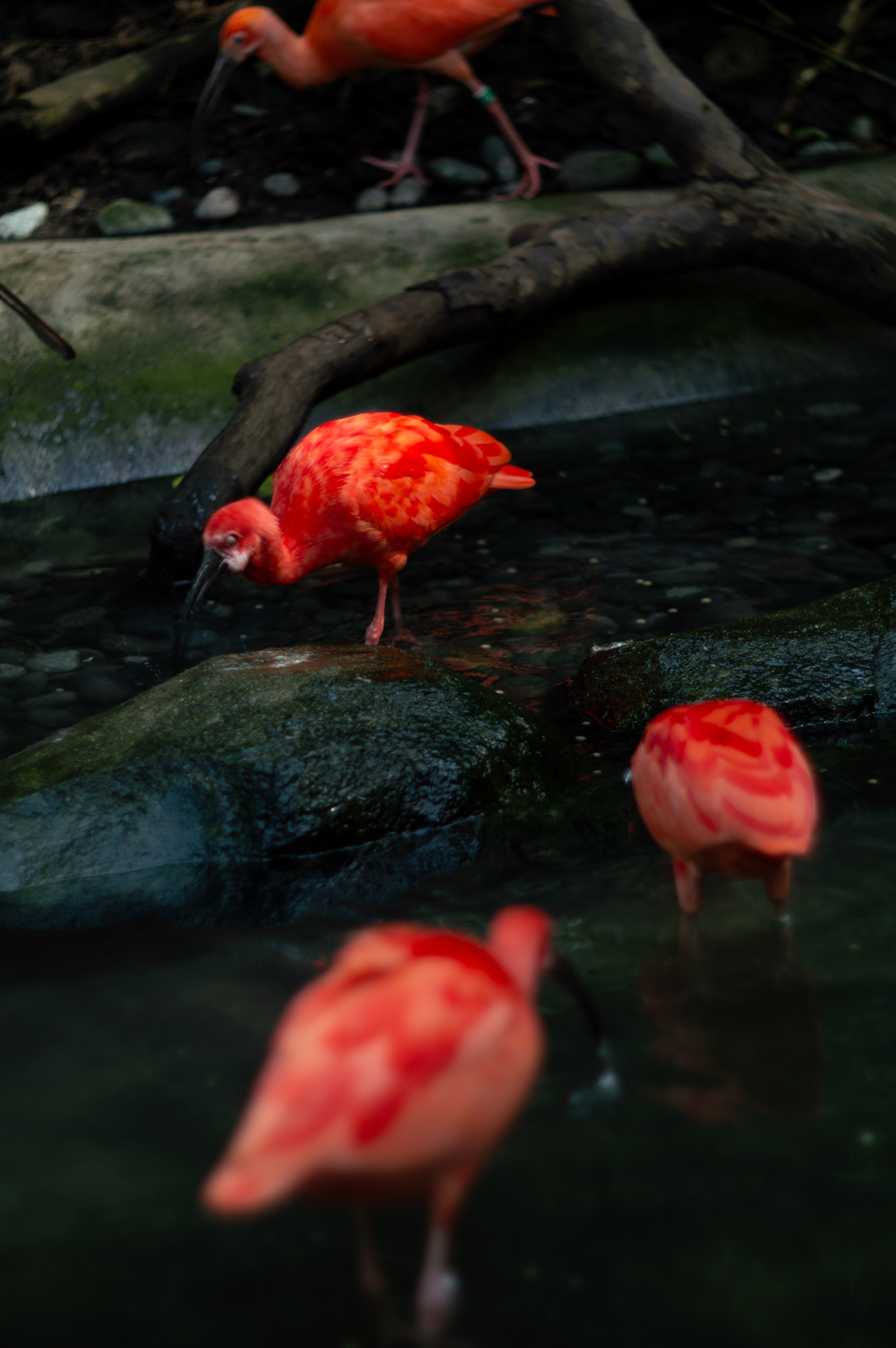 Франция. Анастасия Благова — Твой фотограф в Малаге 🇪🇸