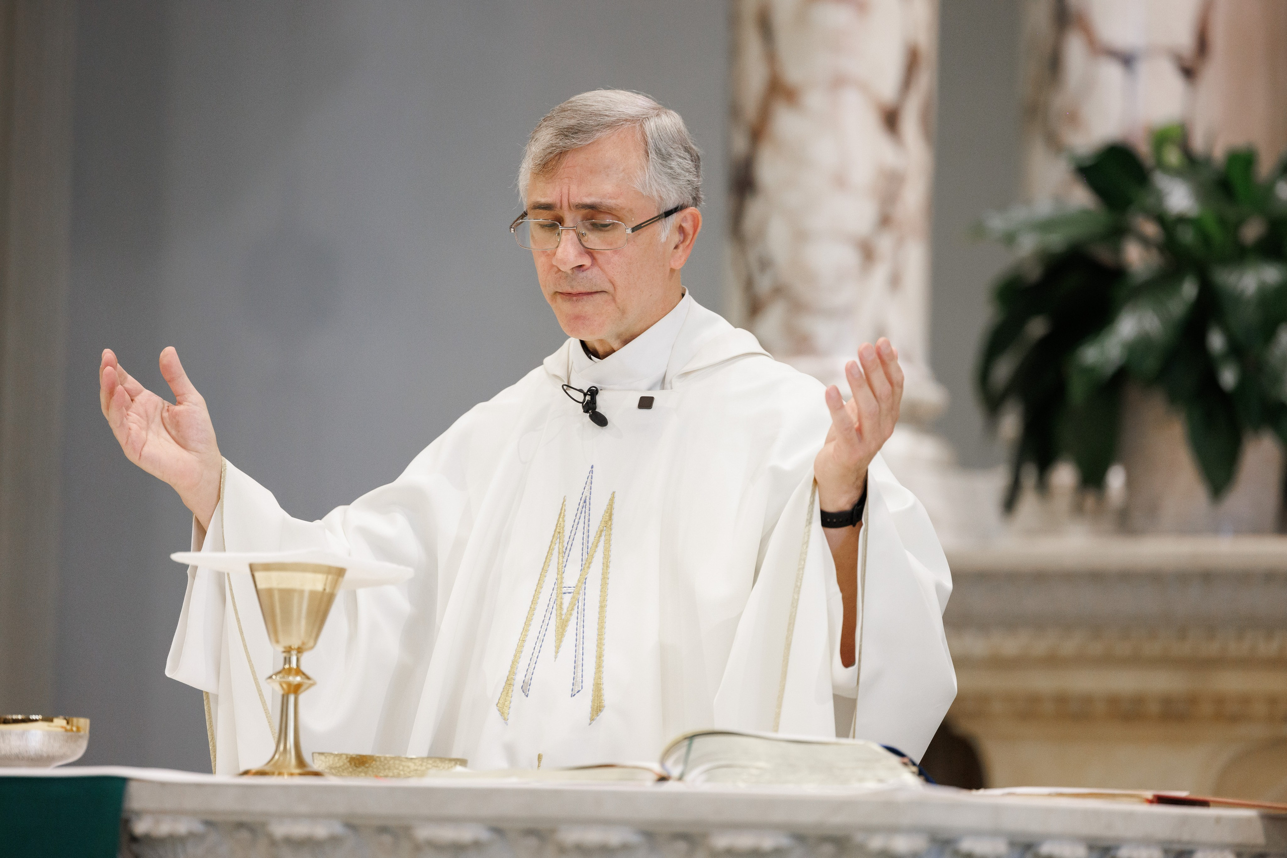 Alessia & Forrest. Wedding Photo & Video