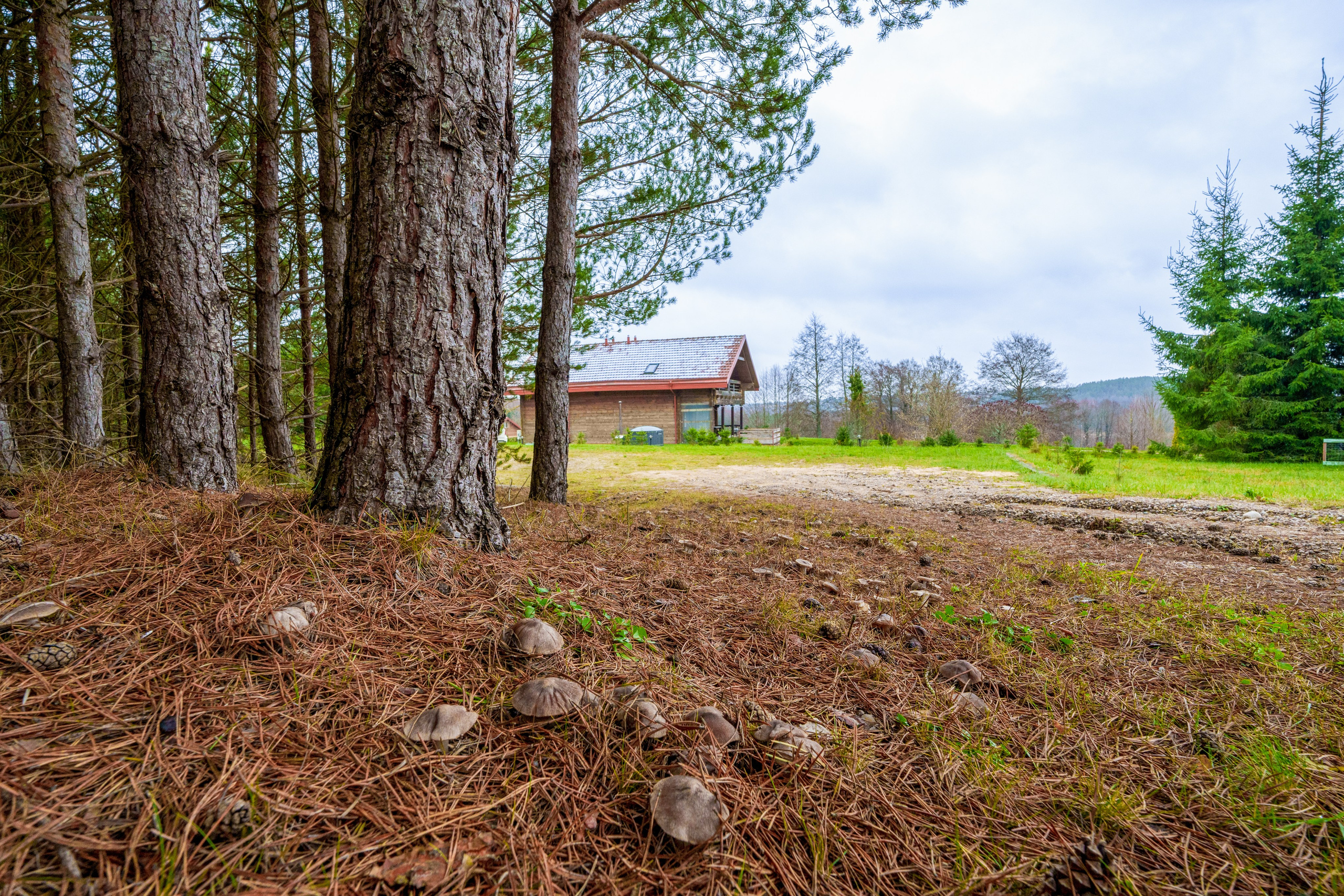 Trakų raj. sodyba. Elina Sapiega fotografė Vilniuje