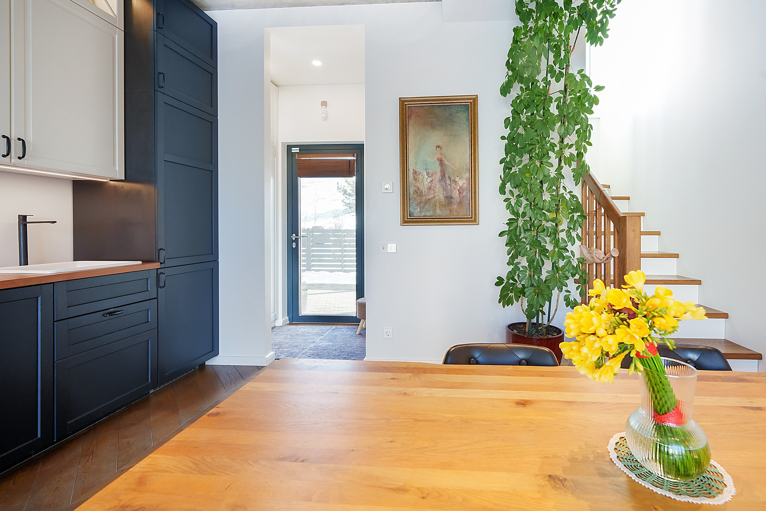 Ginetiškės, Pakonių g. Elina Sapiega fotografė Vilniuje