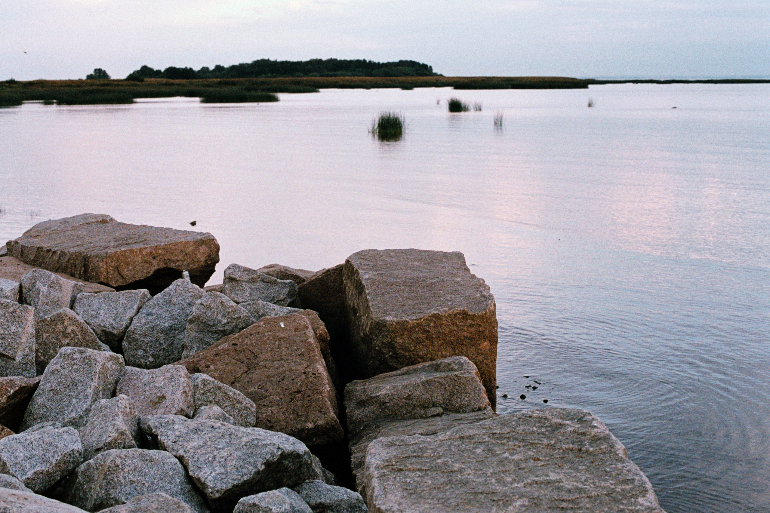 Saint-Petersburg (2020-2023)_2. Elena Zykova film photographer in London