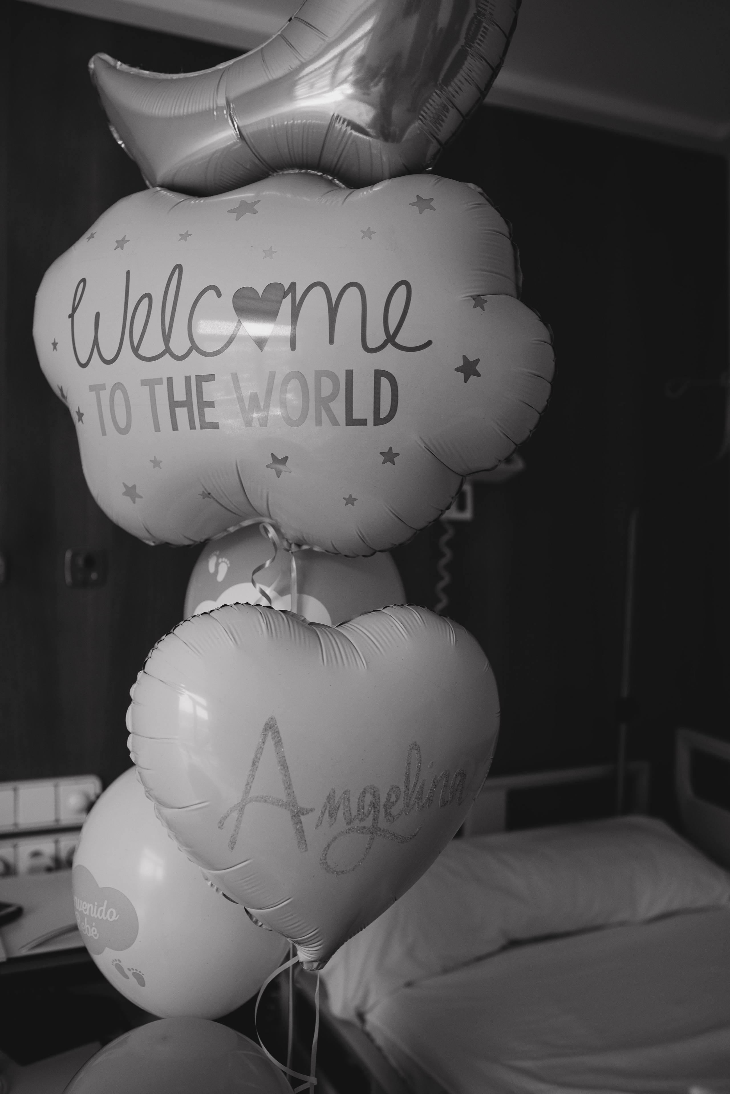 Fresh 48. Https://newbornphoto.wfolio.pro/me