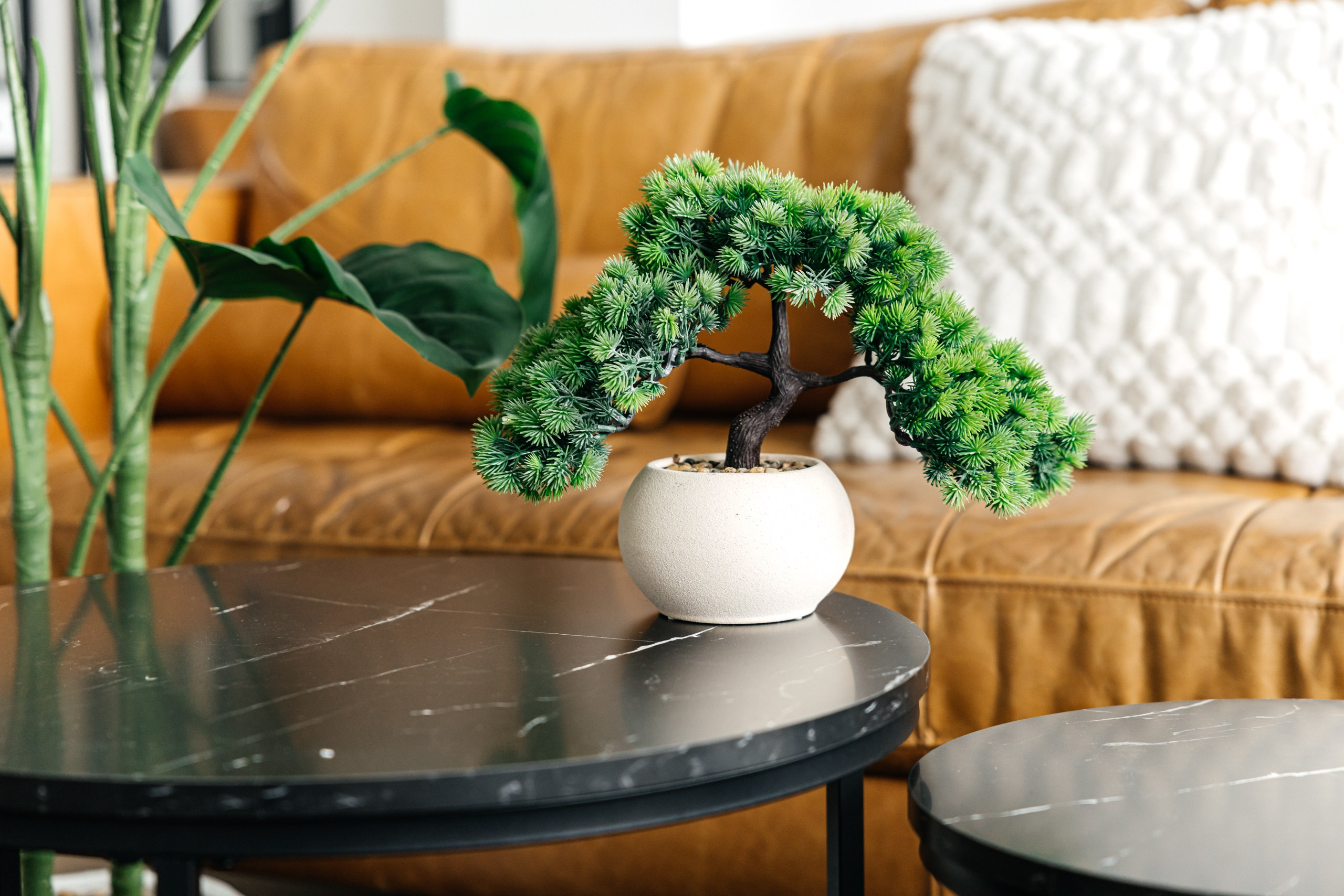 Swanky Apartments. Photographer Andrei White