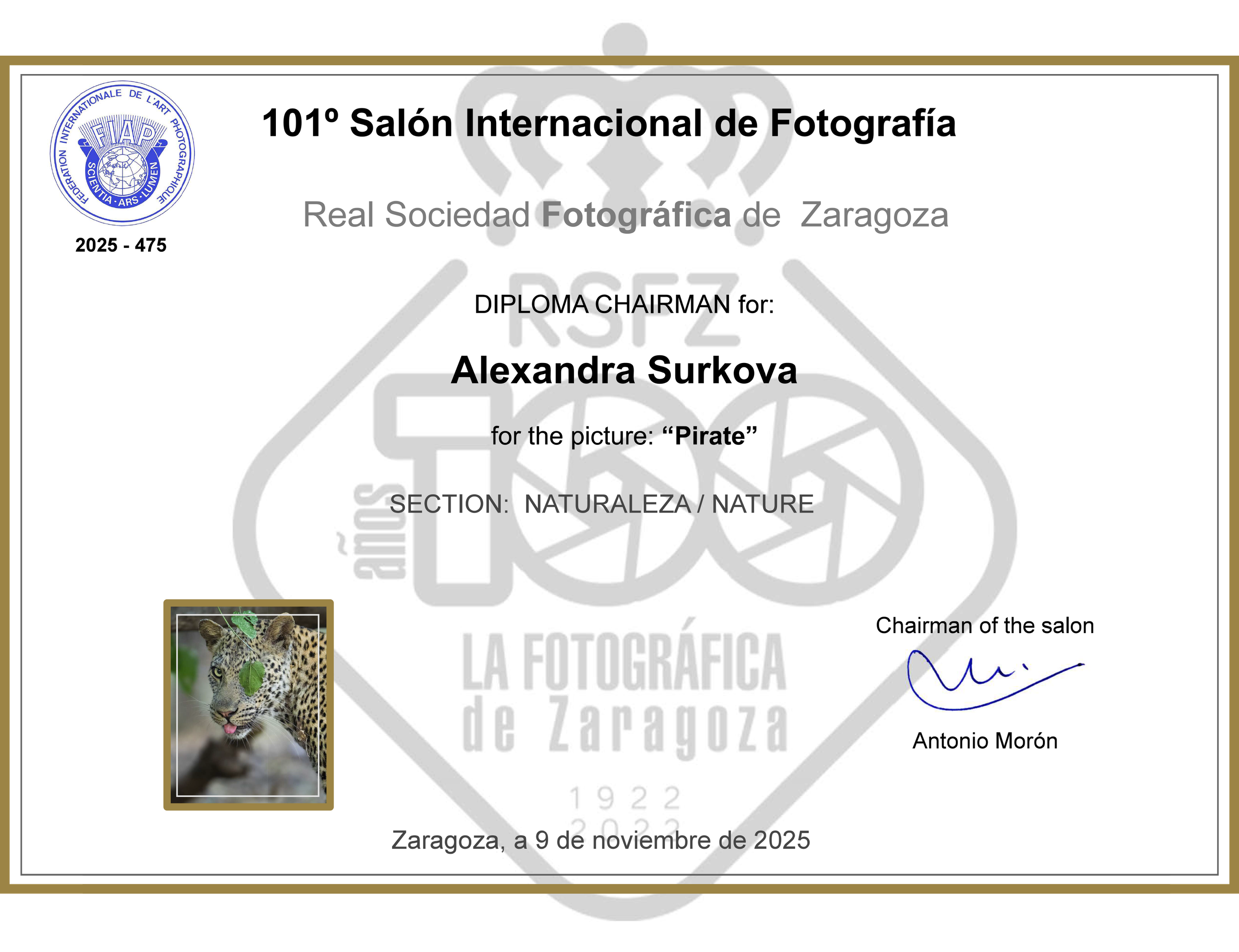 ABOUT. Fine art wildlife photographer Alexandra Surkova