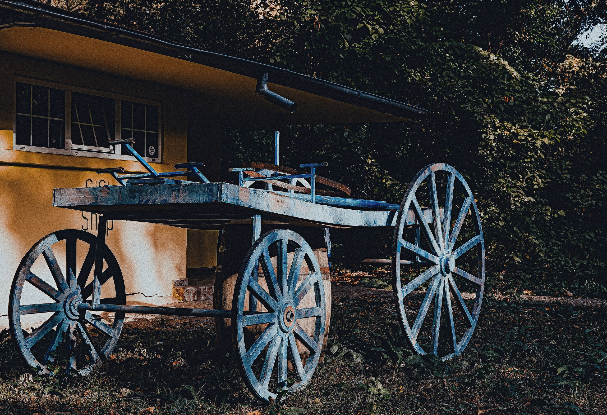 Fotograf Nunta Bucuresti
