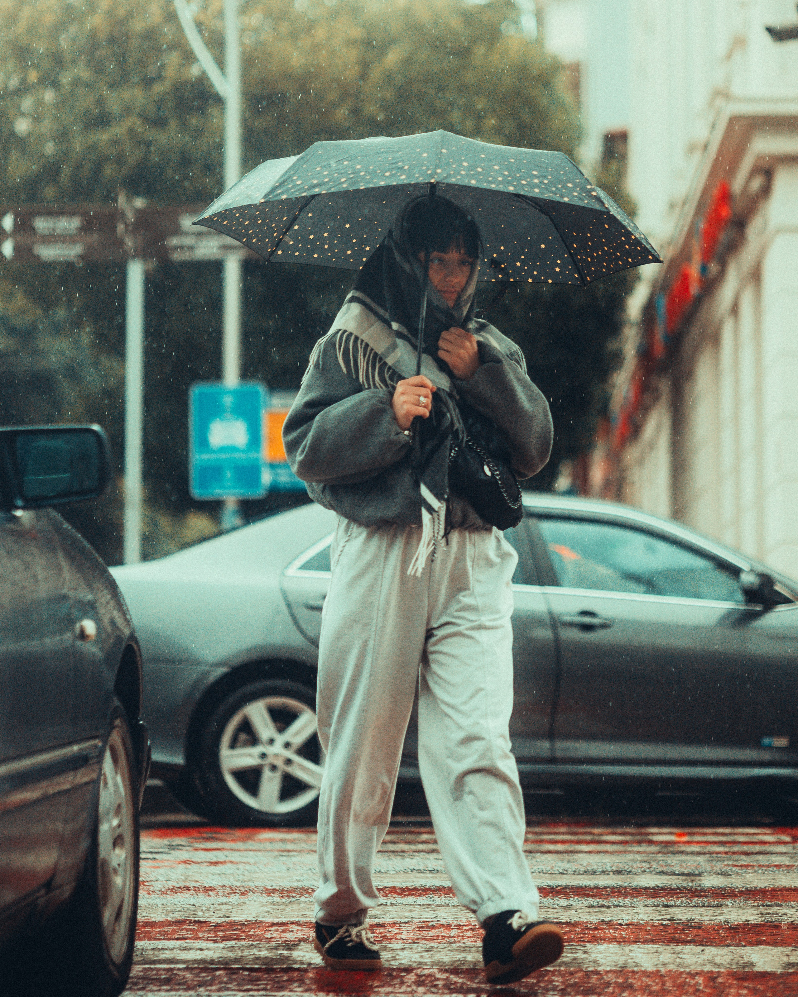 B A T U M I 2 0 2 5. Bspander