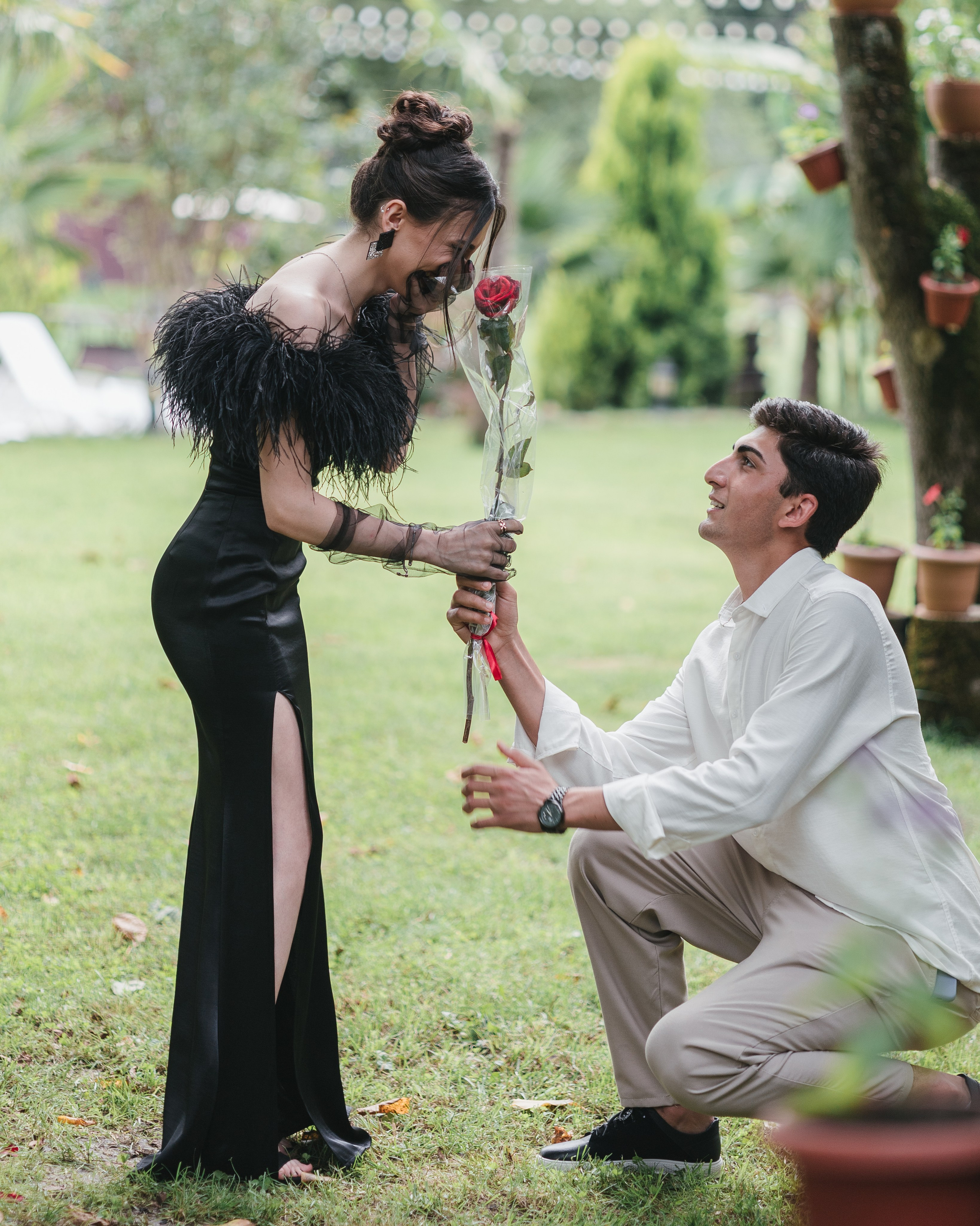 Graduation & Prom. Bspander