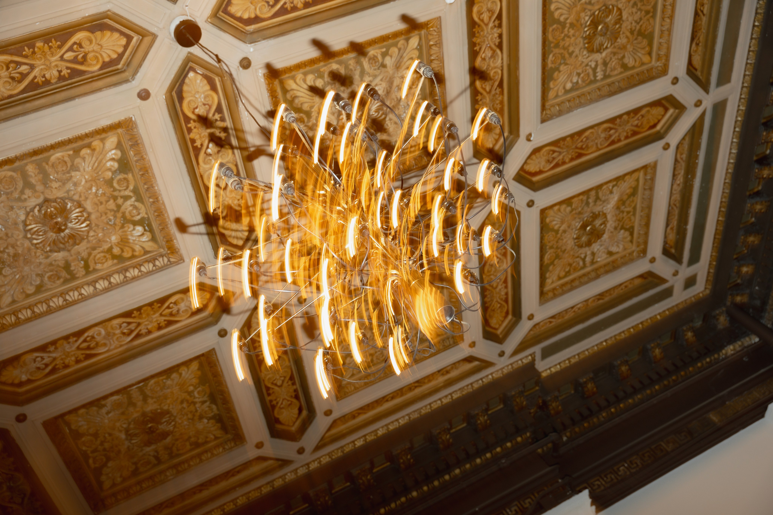 Amir and Maya. Anna Krasnova Wedding photographer