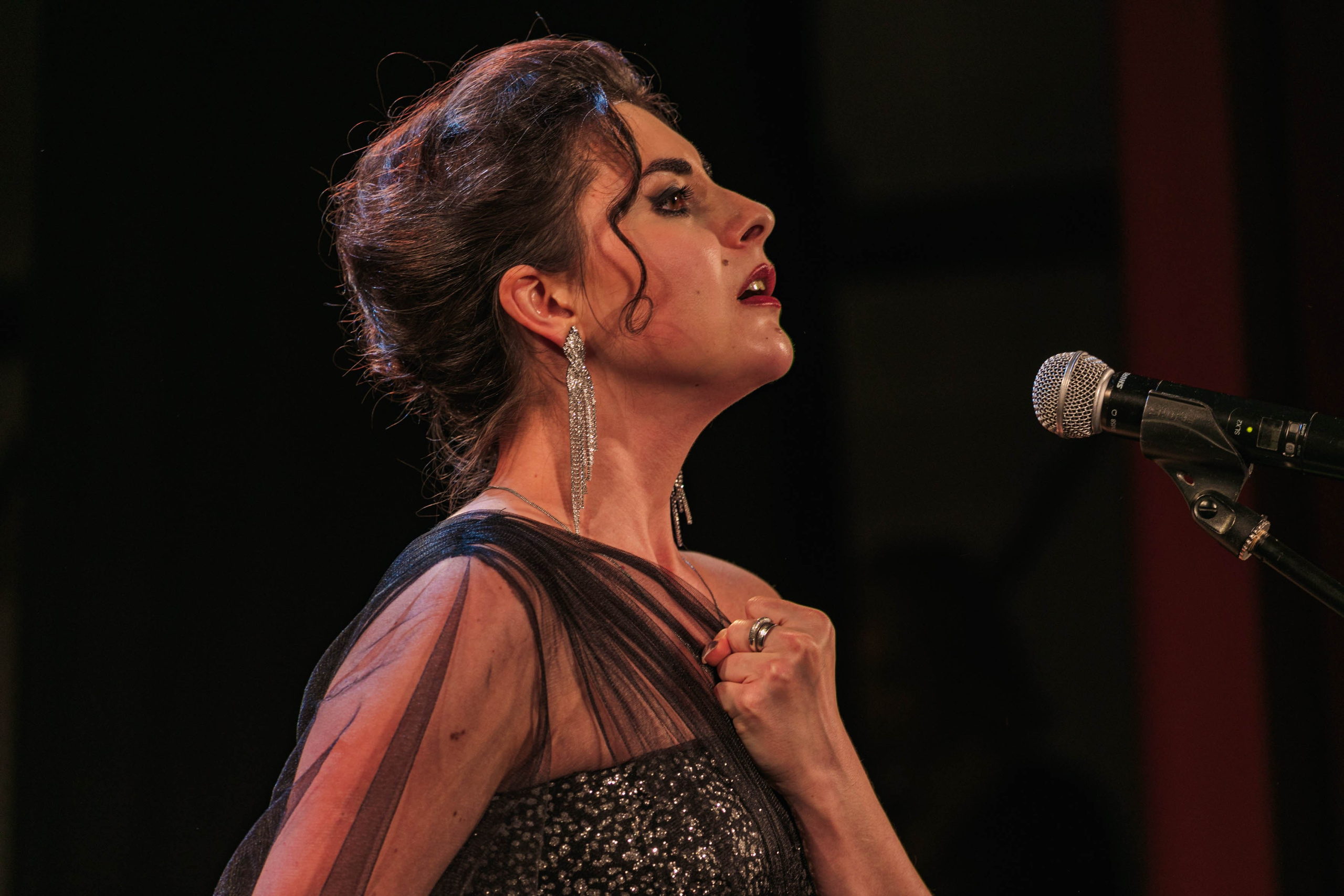 Гатчинская Романсиада. Репортажный и концертный фотограф в Санкт-Петербурге Адмакина Дарья