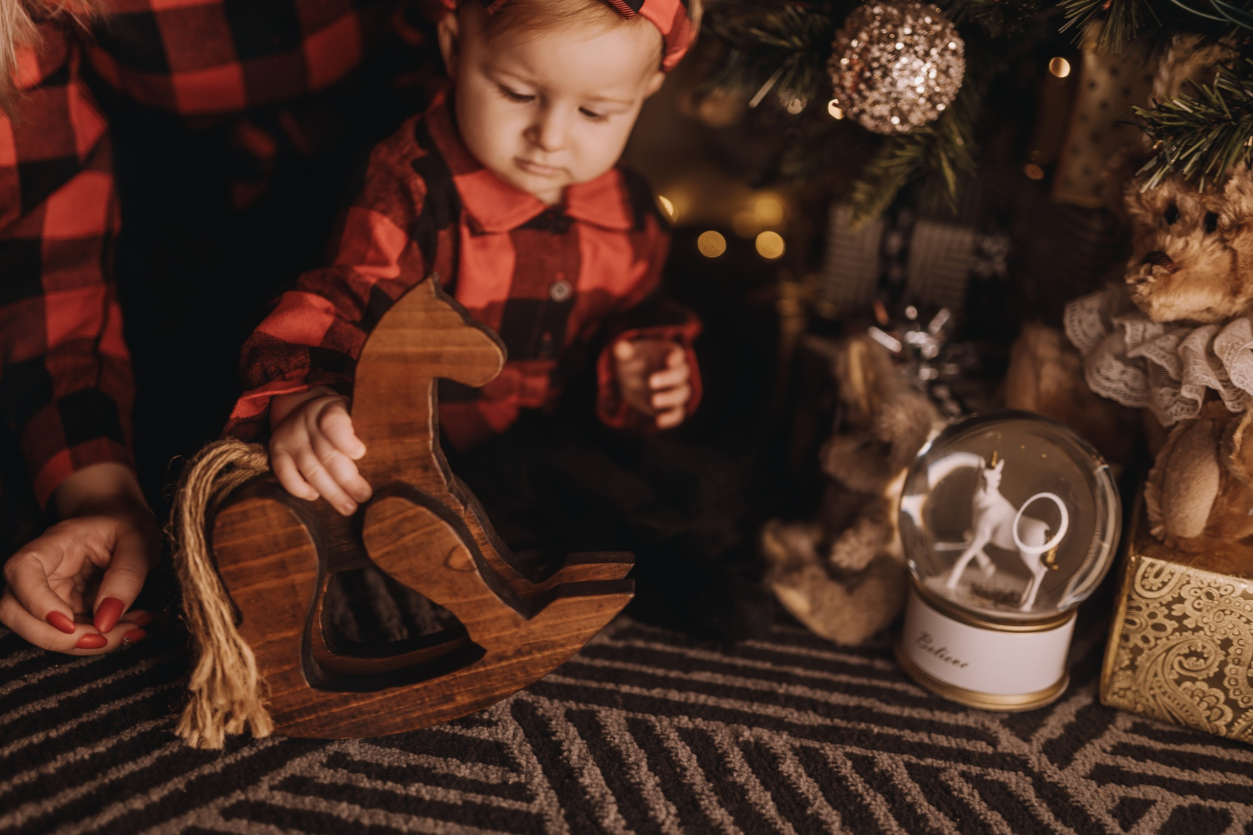 25.11.2023 Christmas Photoshoot 1. Wedding family event photographer in Chicago Nick Yushevich