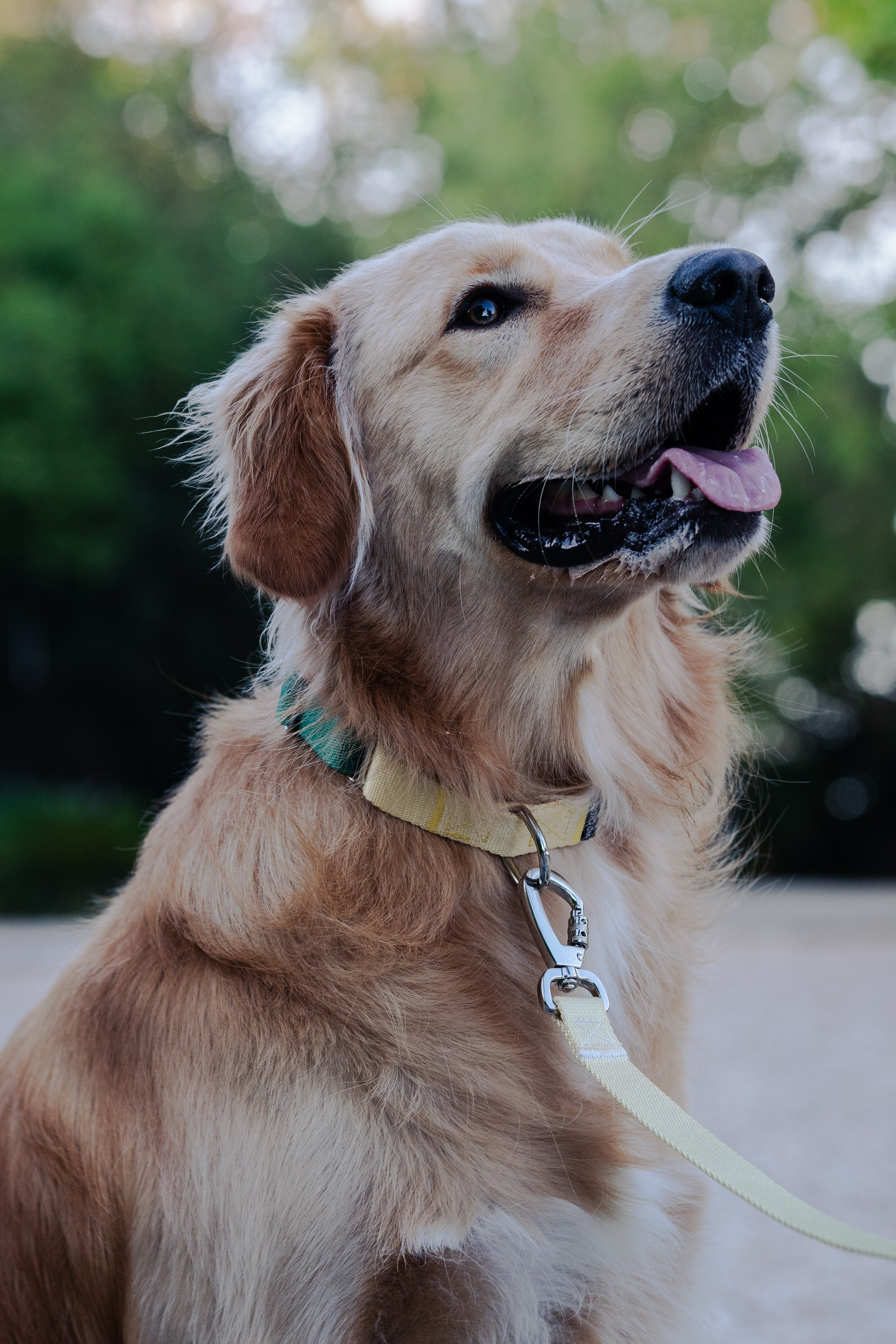 Wo.cherie. Lisbon Event Photographer