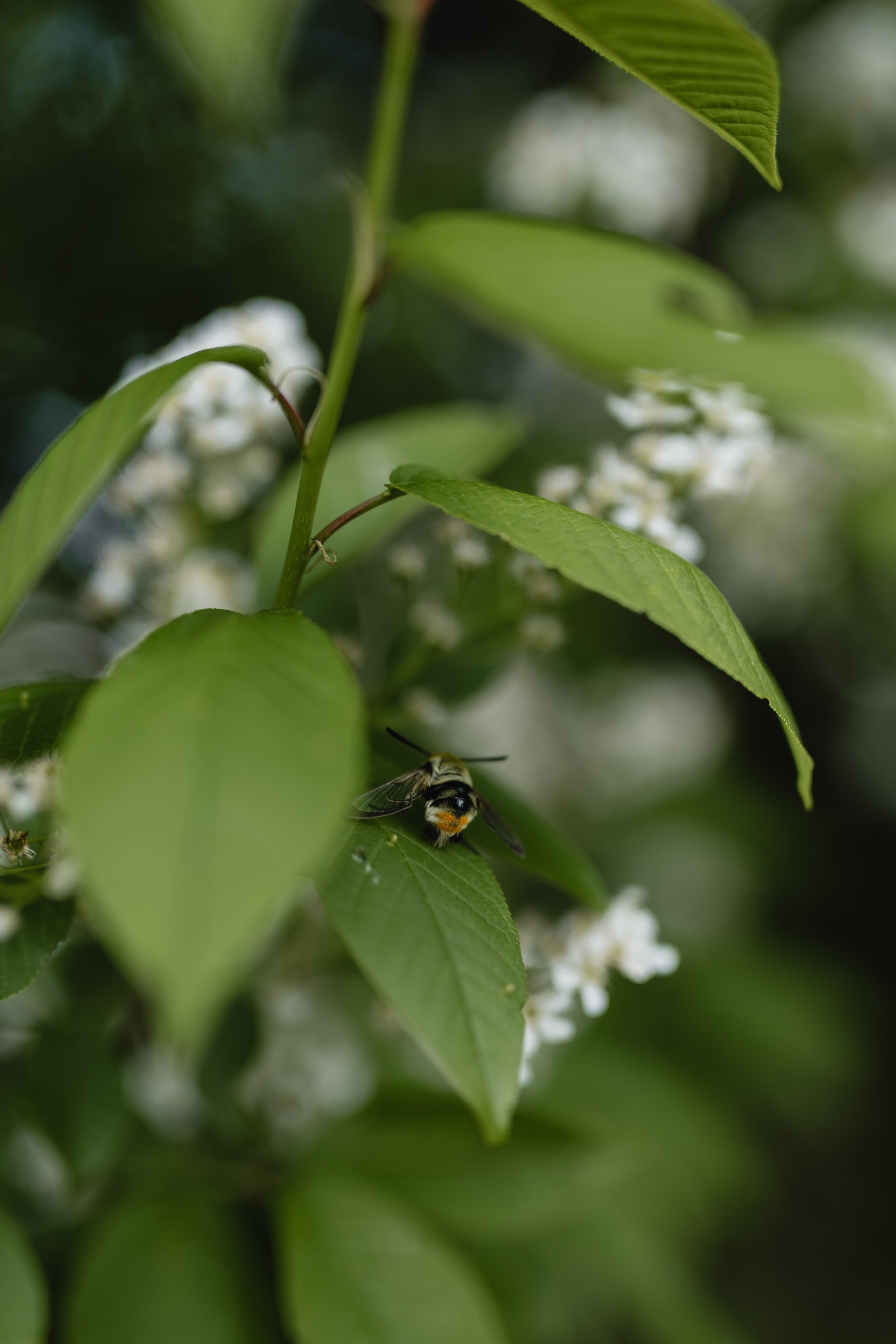 Cristina & Elena — Family. Main