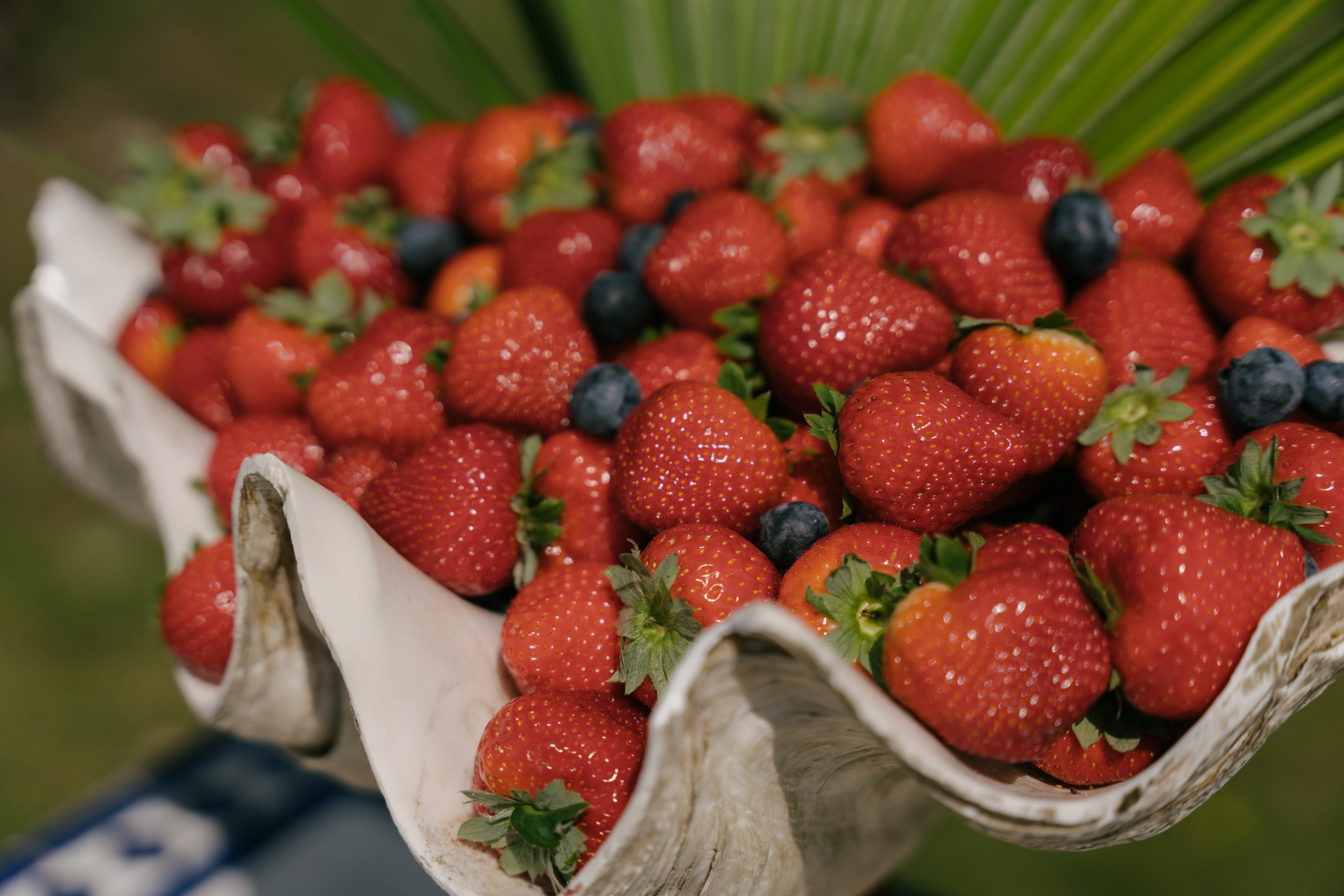 Friern Manor Wedding Photos | London Wedding Photographer. London Wedding Photographer|Natasha Ferreira