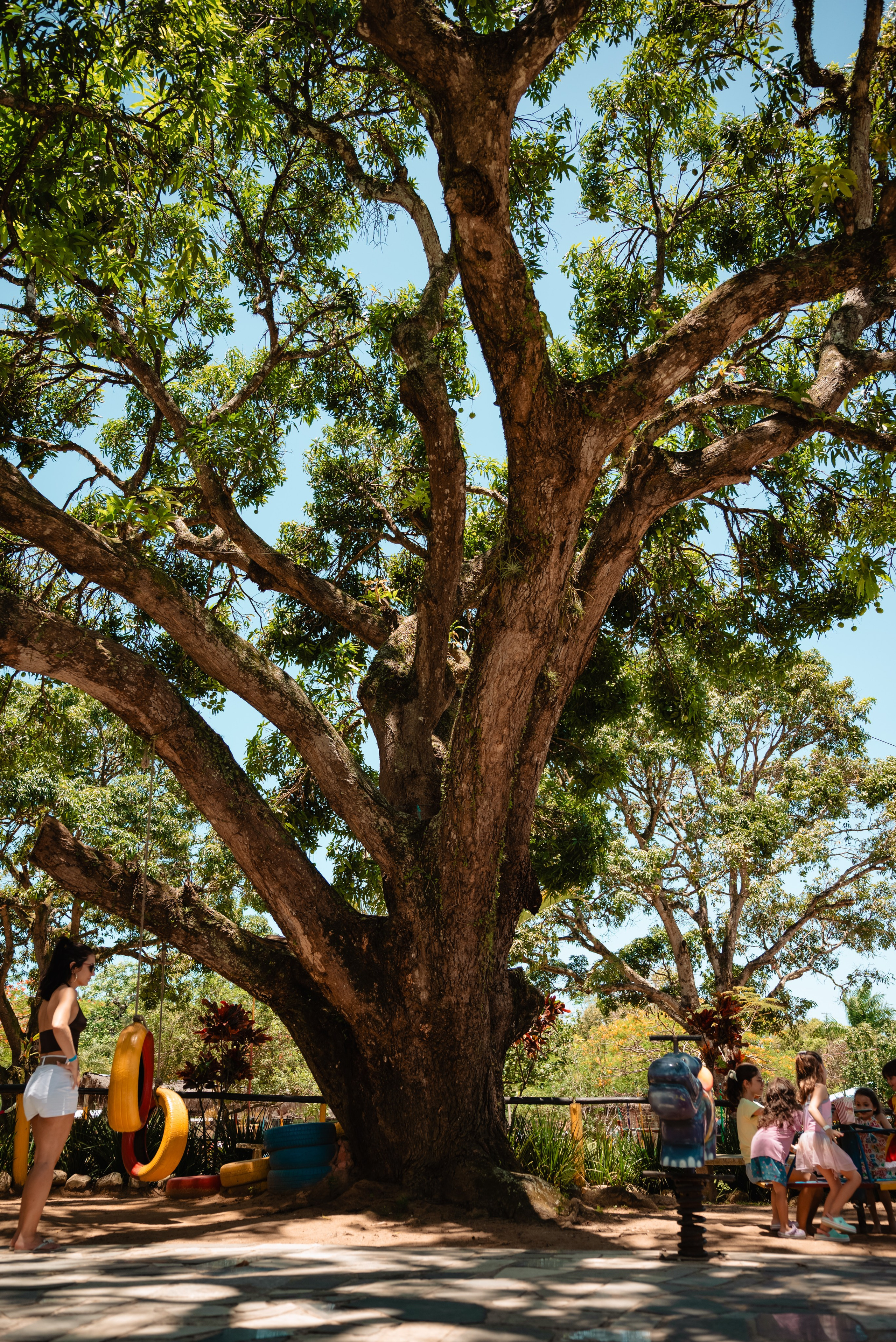 OS 5 anos da Bianca. Fotografo de casamentos e famílias no Espirito Santo — Marllus Milanez