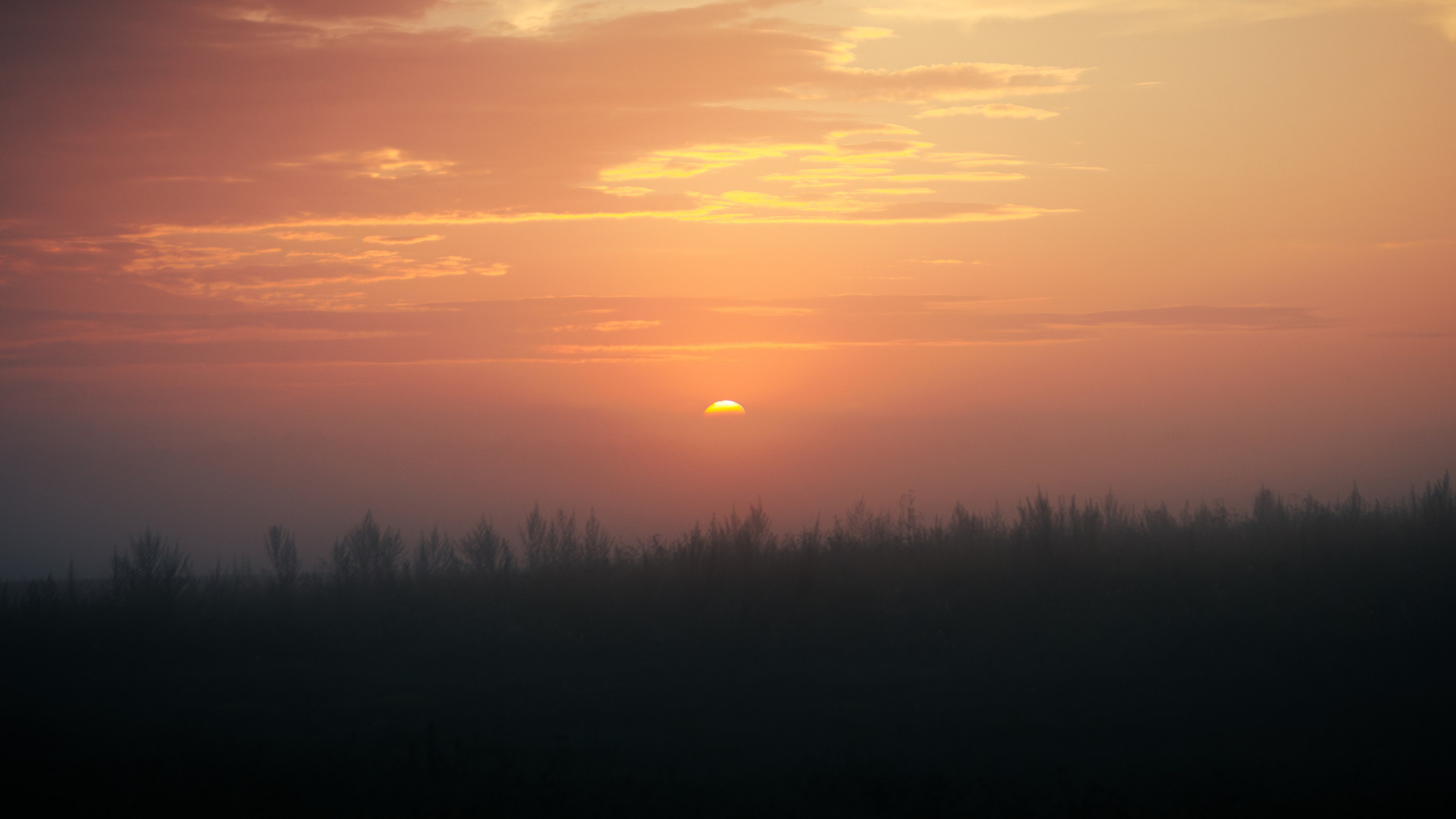 Landscape. Portrait and Street photographer in Vilnius Edgar Shaipunas