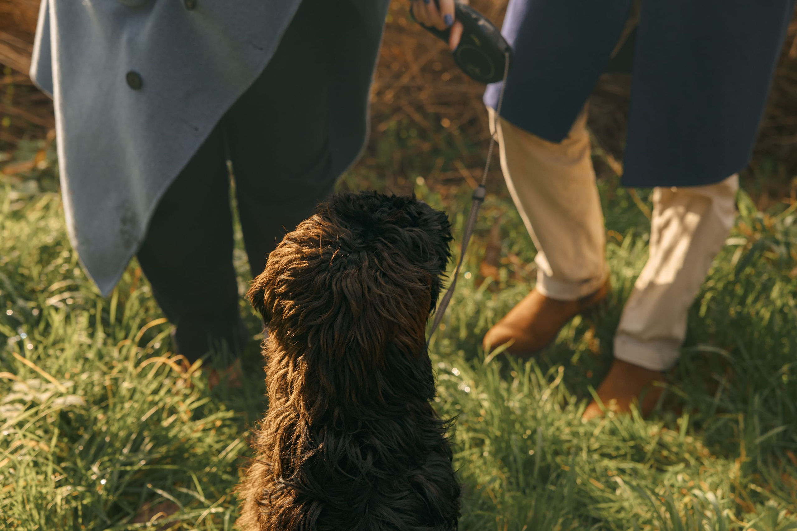 Pet Photoshoot in Spijkenisse | Rotterdam. Romantic & Soulful Photography by Natalia Olhova in Rotterdam