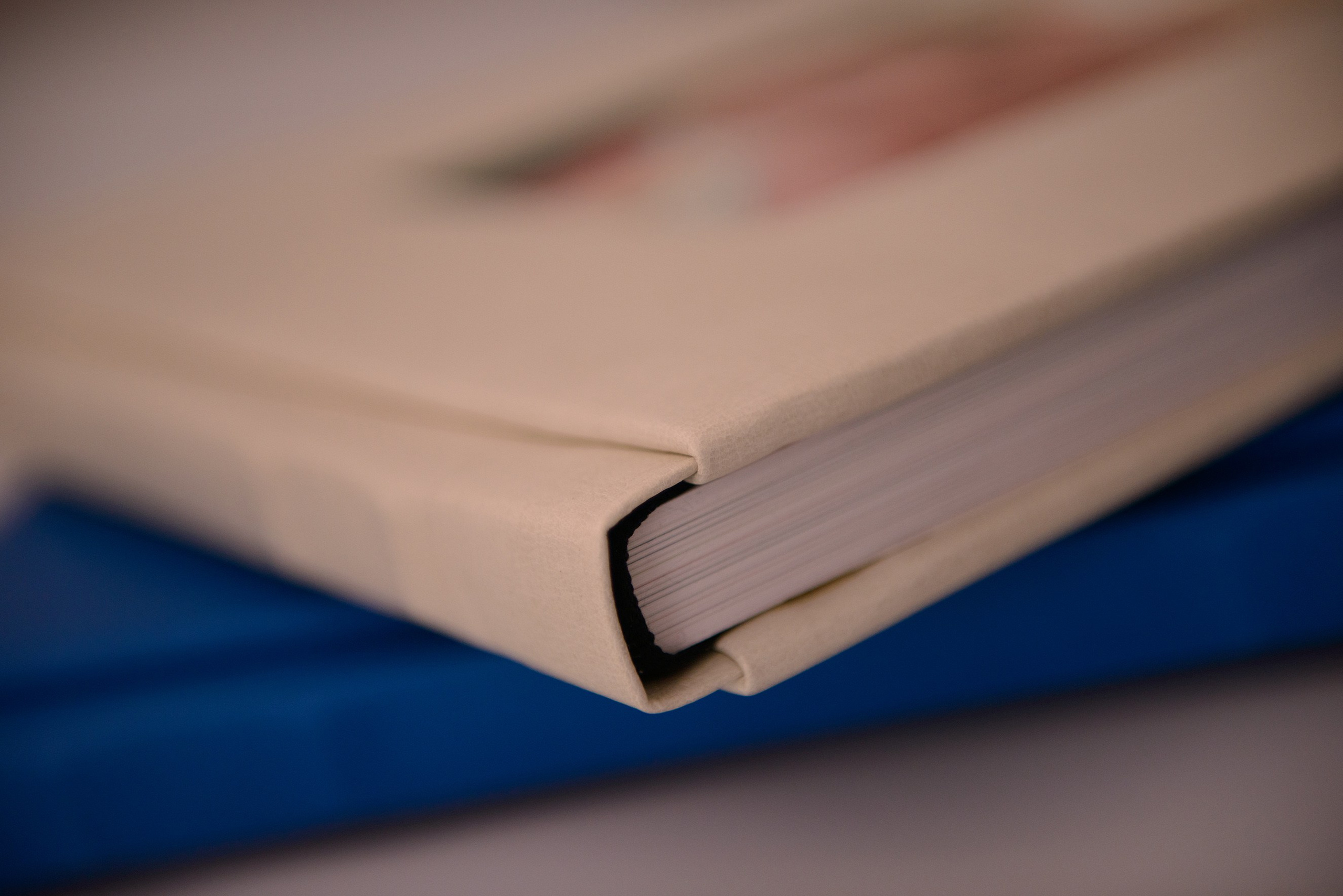 Albume Bogdan Palenciuc