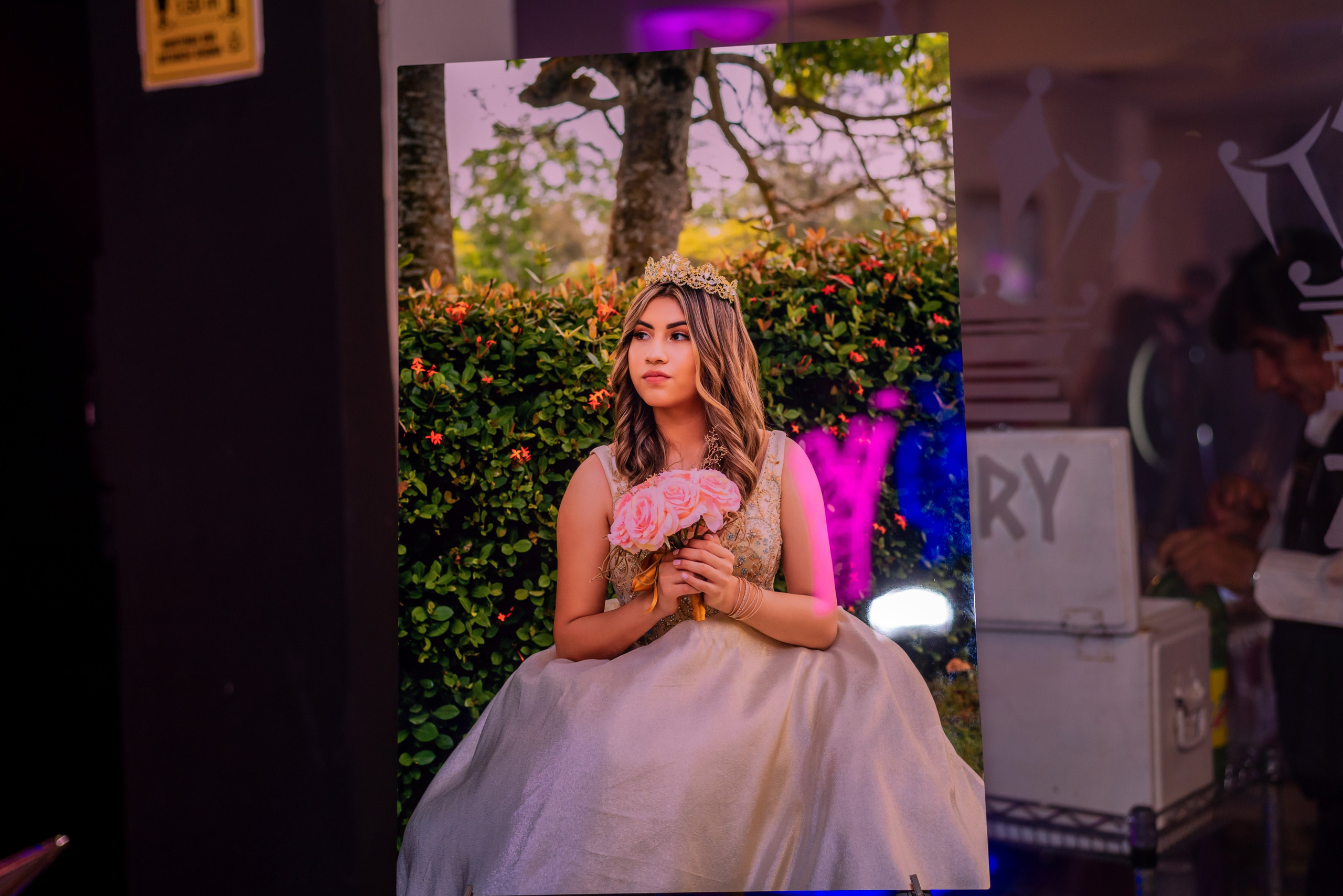 Quinceaños. Fotografía Profesional - Noise Motion