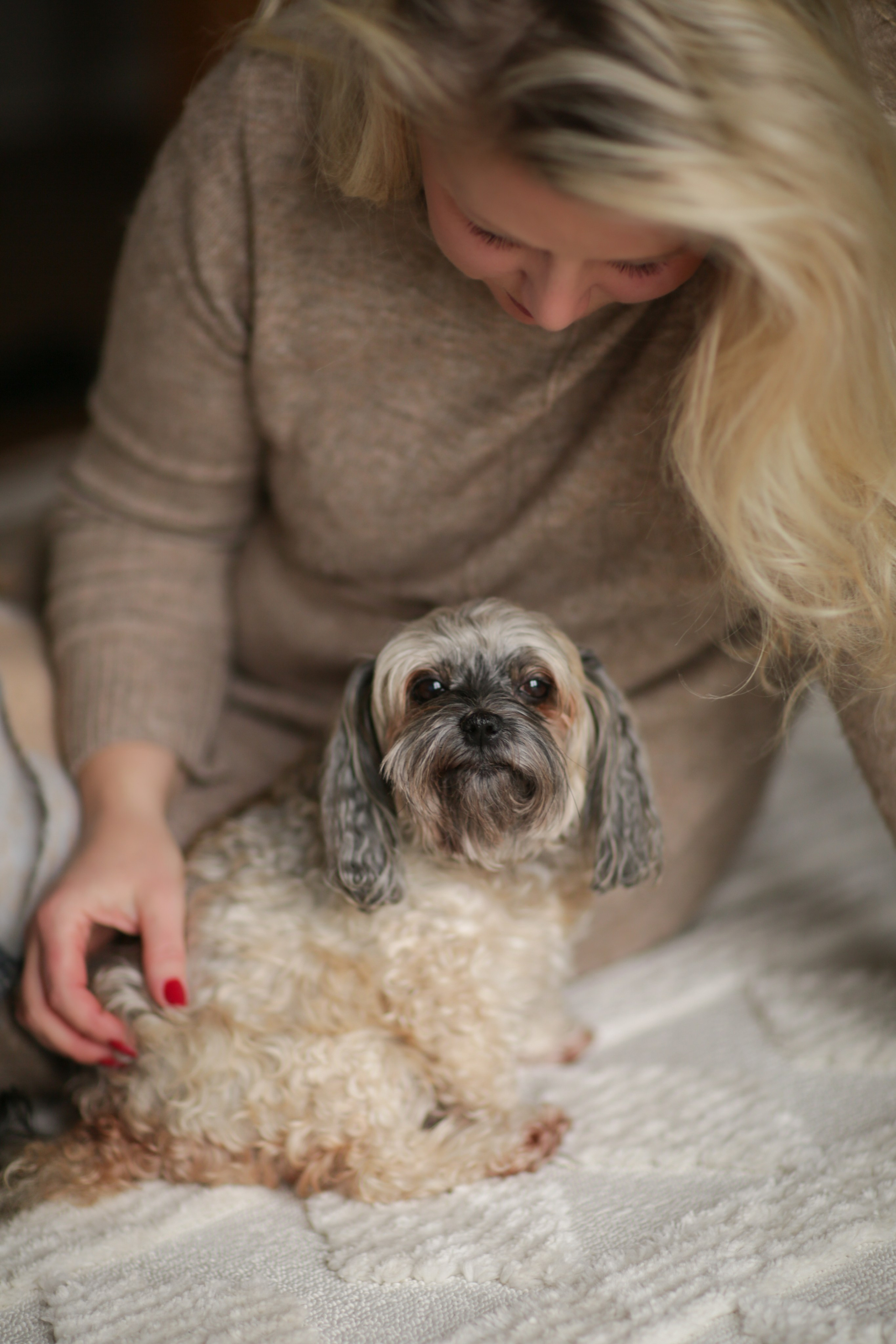 Haustiere. Neugeborenen, Familien, Geschwister Fotografin aus Delmenhorst
