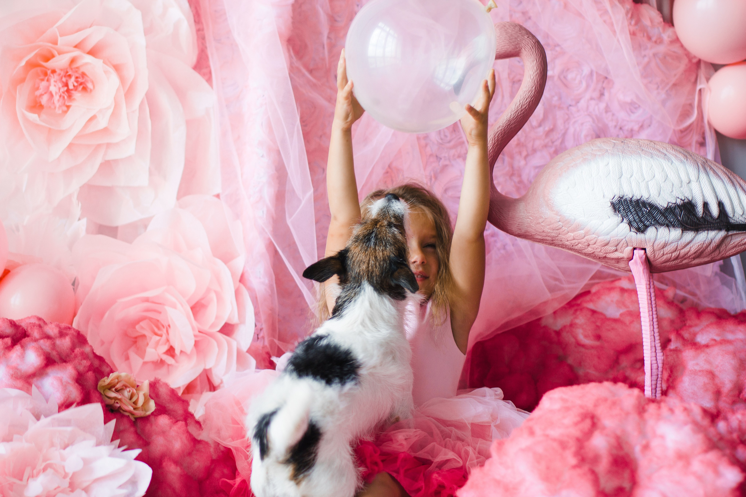 OH LA LA decoration studio. Photographer Vladmir Gladkov