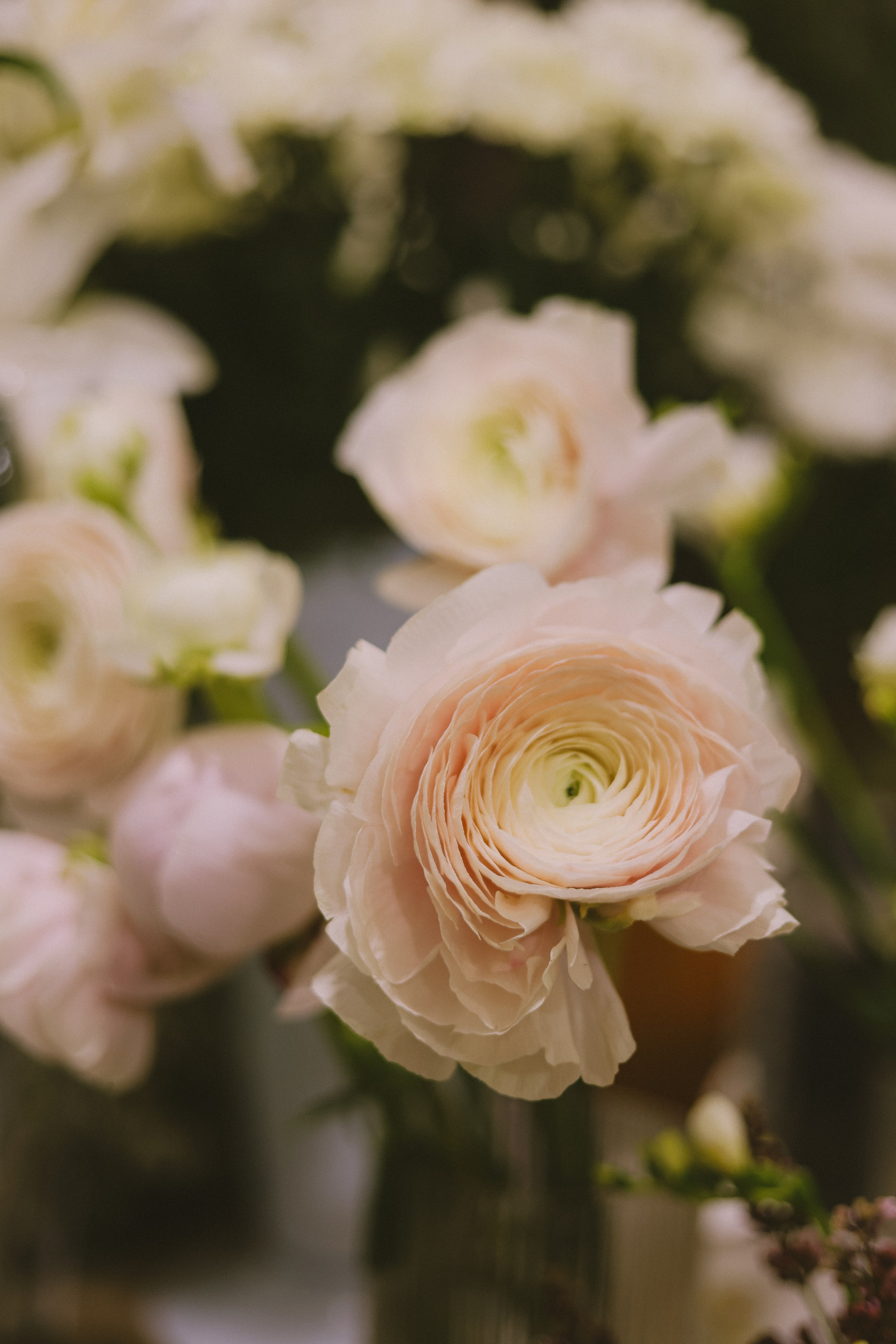 Only you. Свадебный, семейный и детский фотограф в Беларуси и за ее пределами