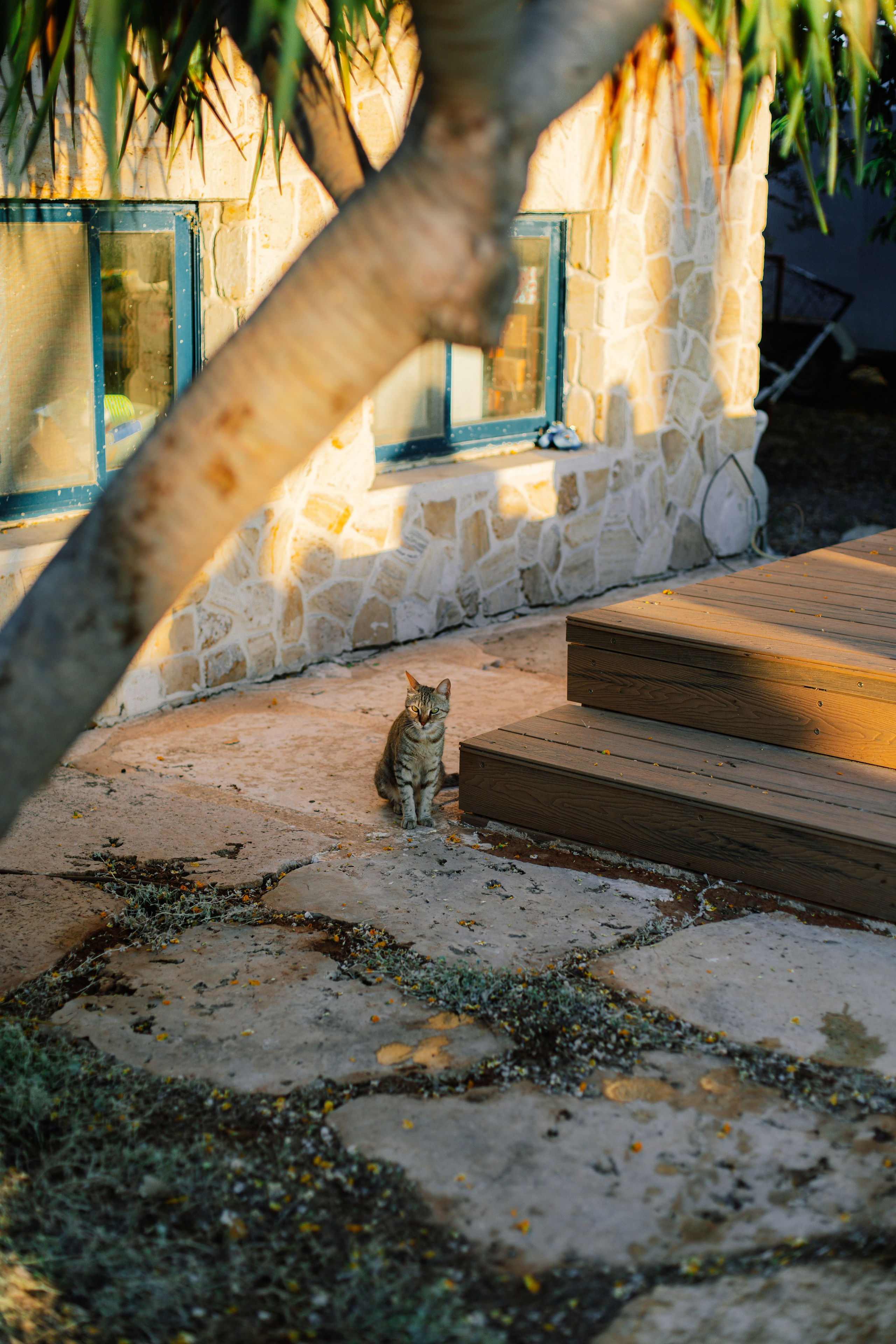 12. Family photographer in Israel