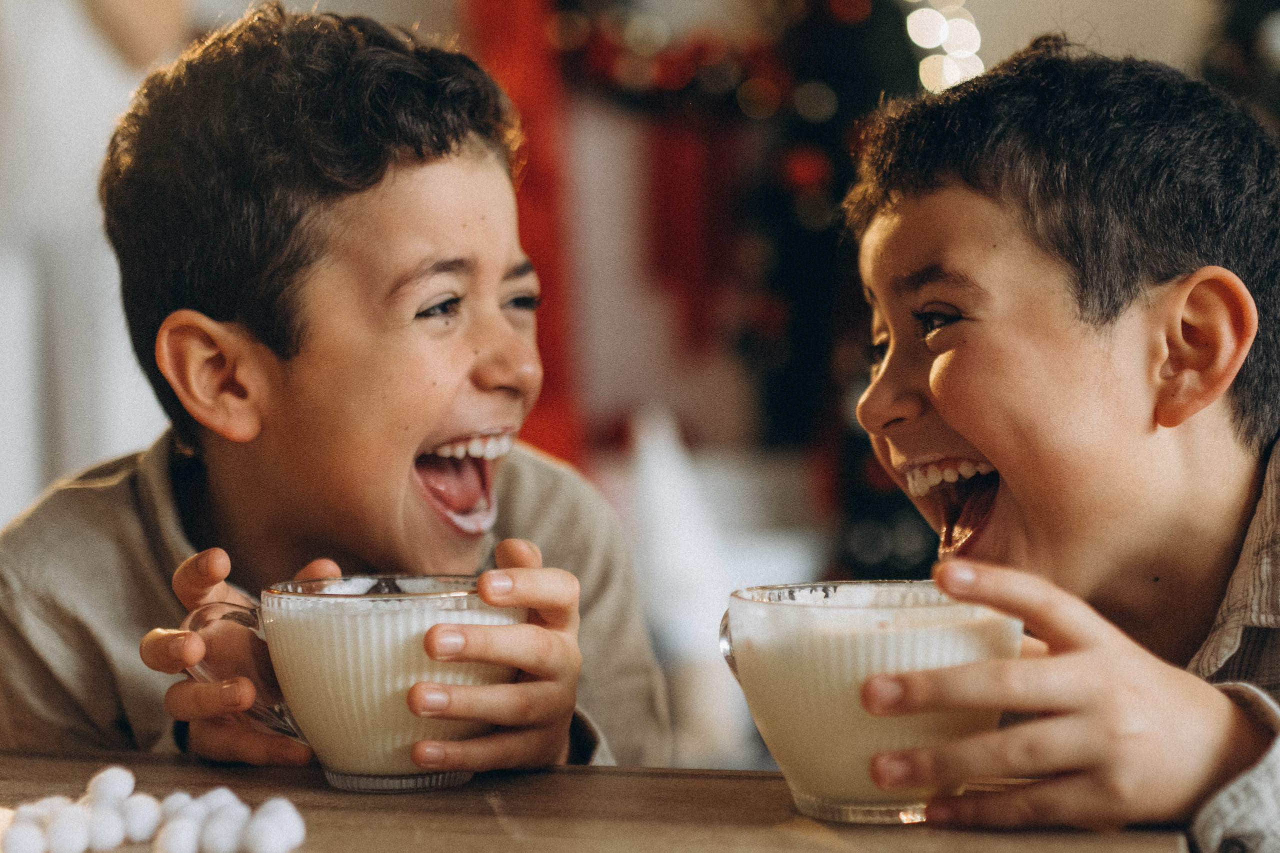 Merry Christmas. Семейный фотограф Лейпциг, Германия