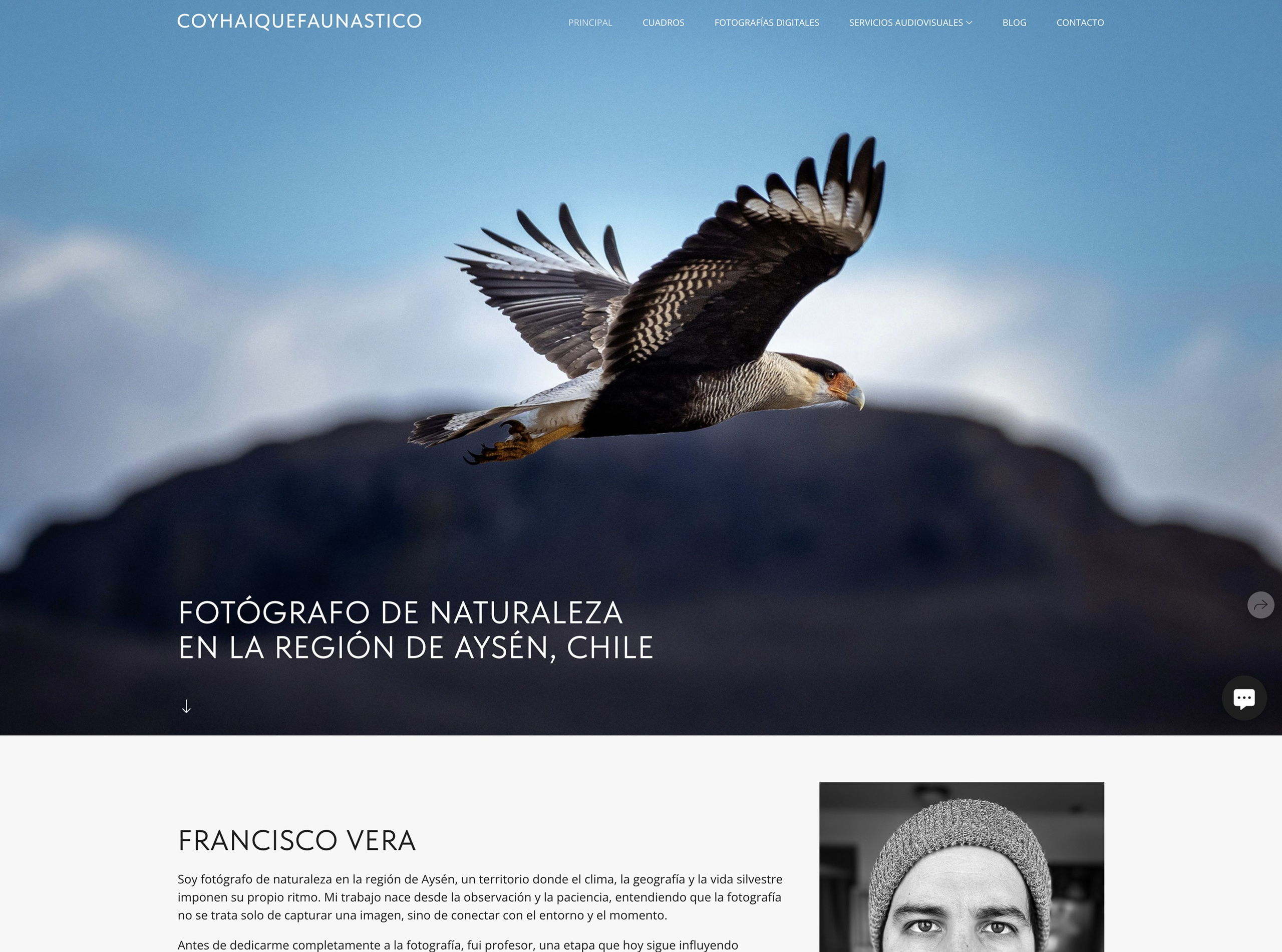 https://contactofaunastico.wfolio.pro/