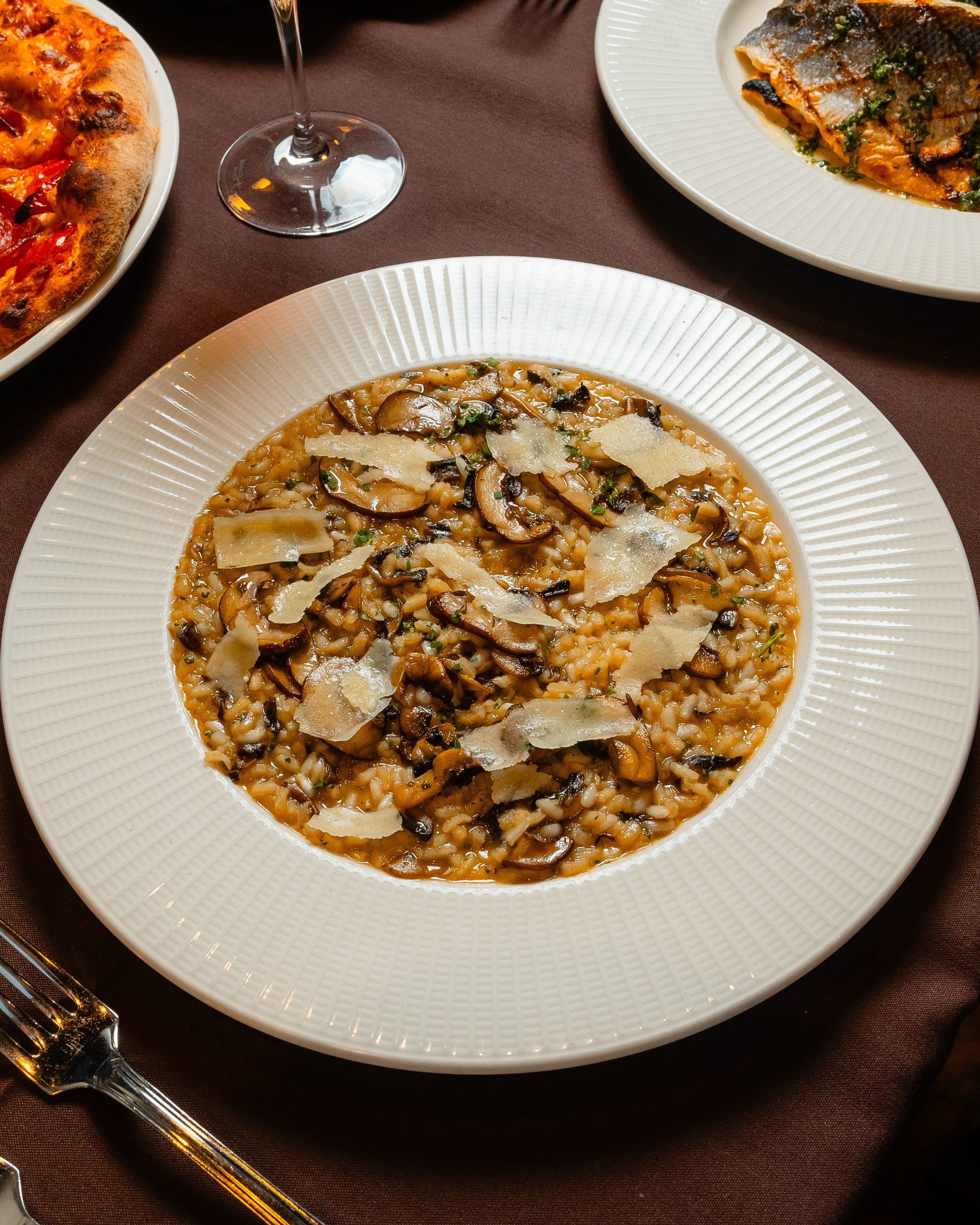 Luna. Welcome to my video and photo world!