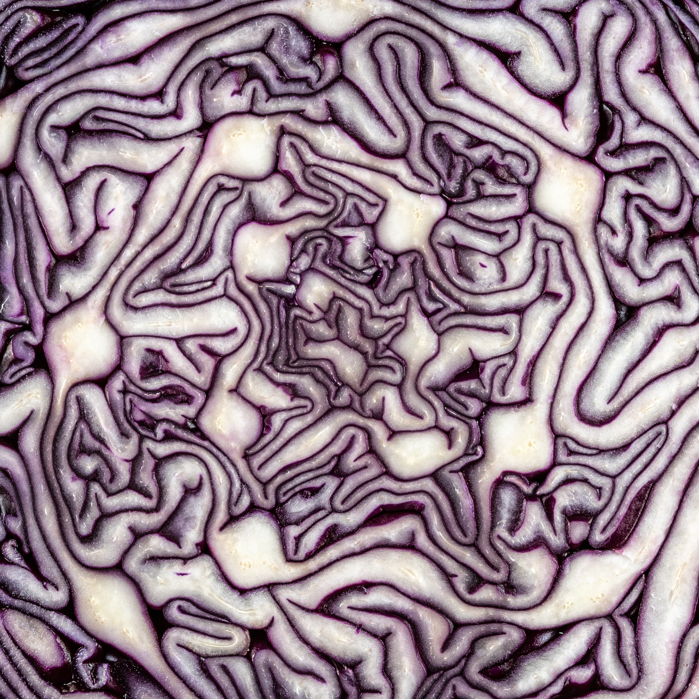 “Gianmaria Coscia fotografo per passione”