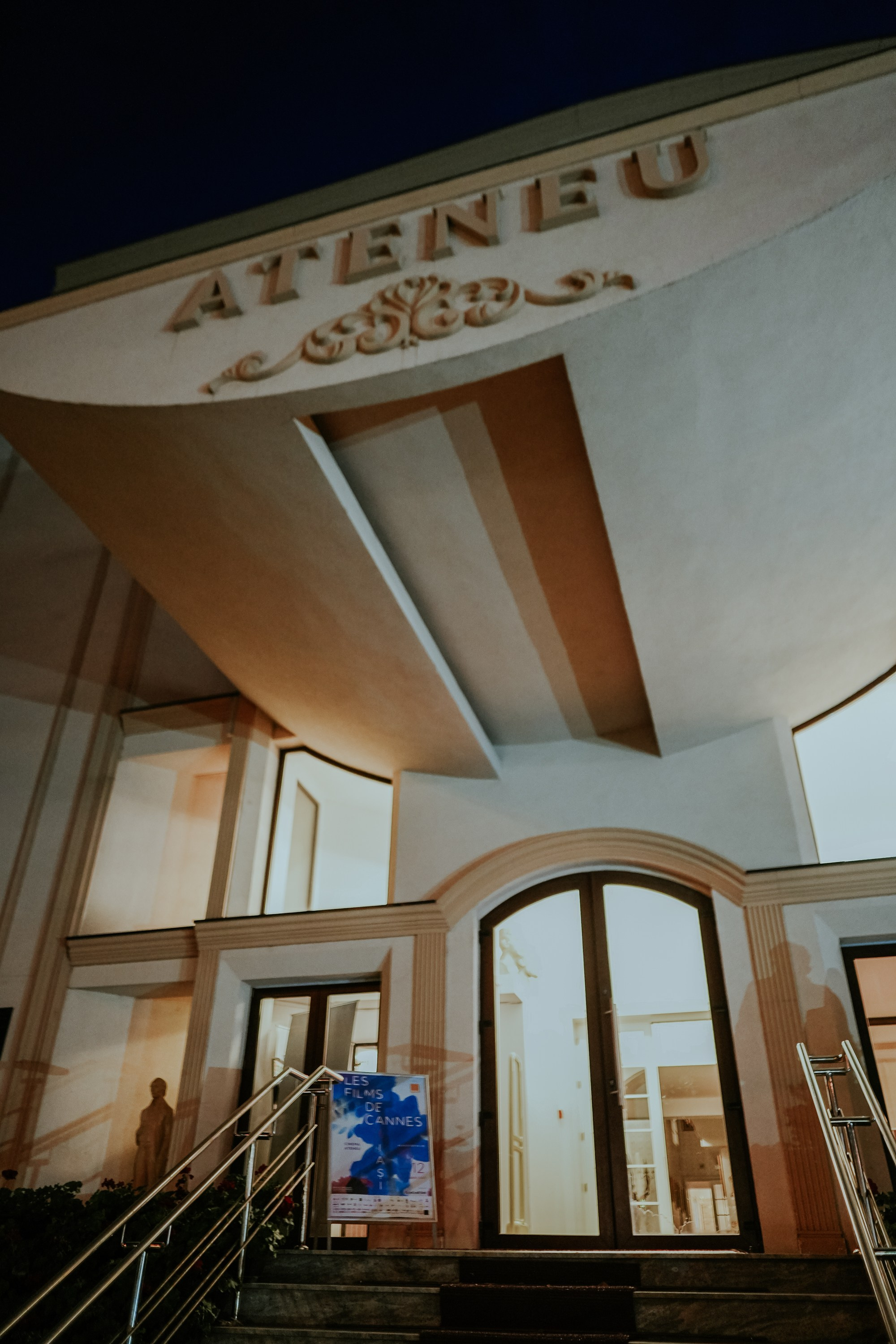 Les films des cannes @ Ateneu Iasi. MARINABUGS