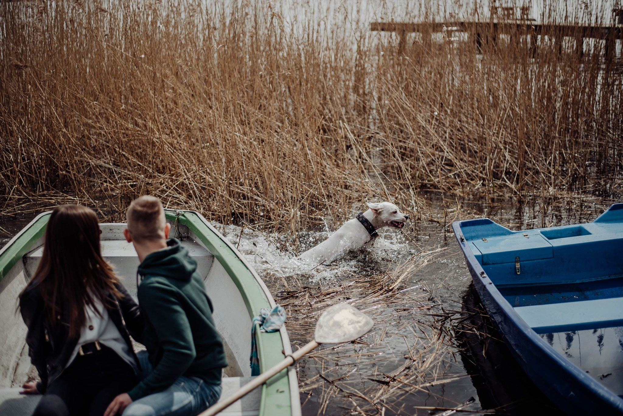 Natalia i Kamil v2. Dominika Strachacka Fotografia | Fotograf ślubny i rodzinny Opole Lubelskie Lublin